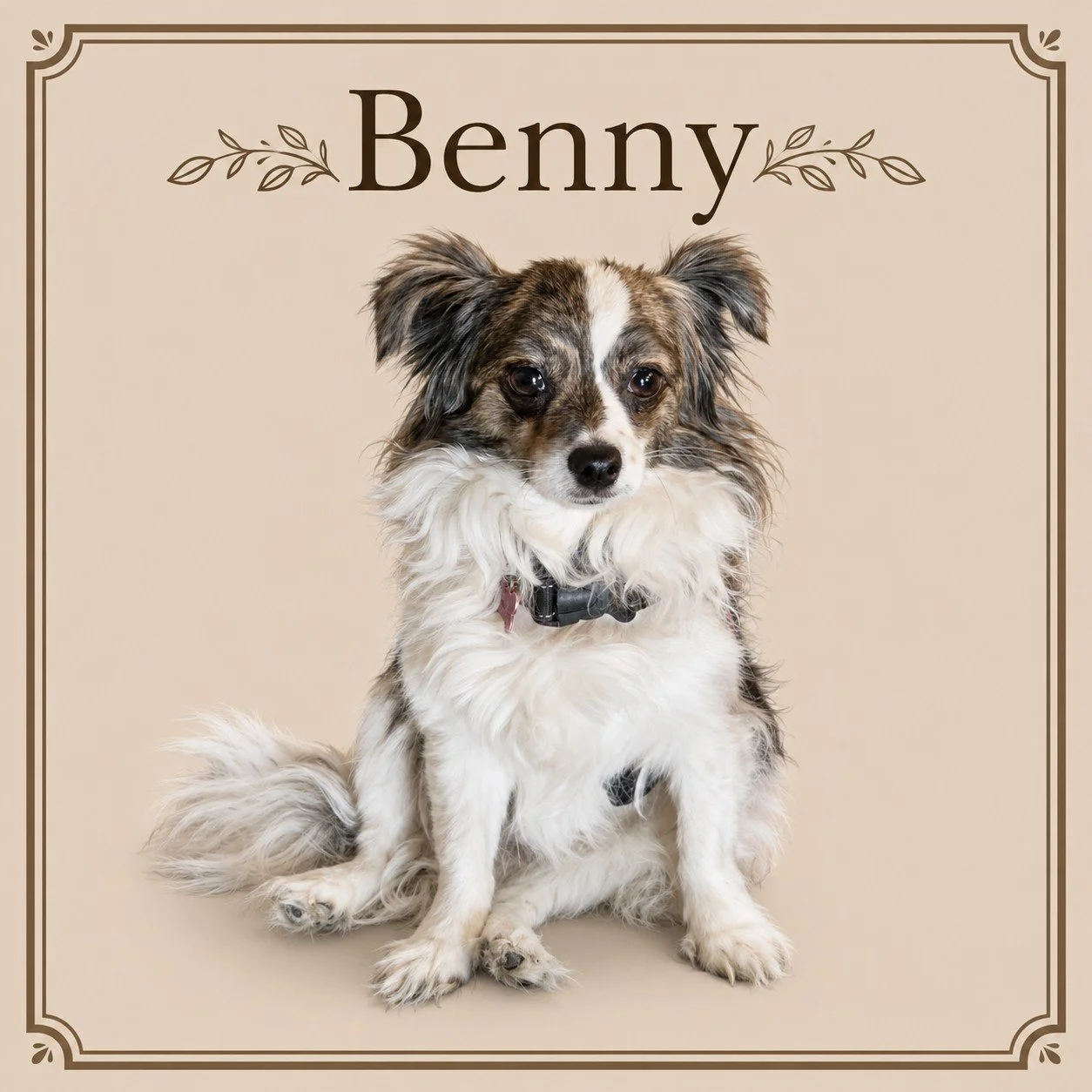 Benny.jpeg