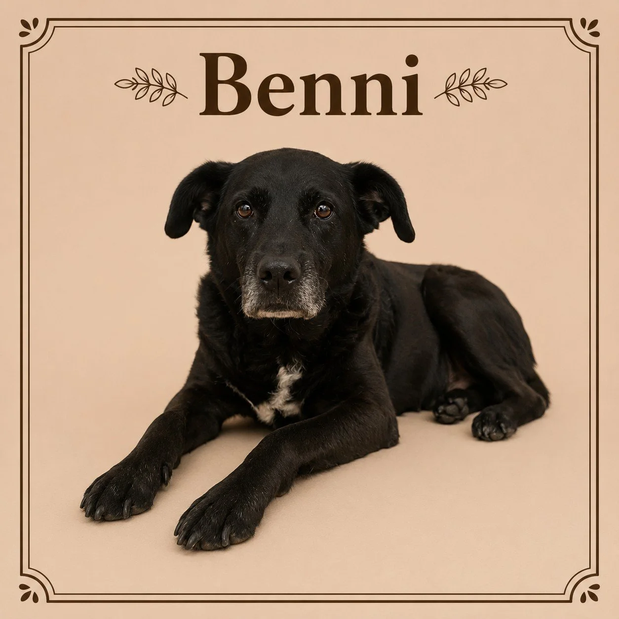 Benni.jpeg