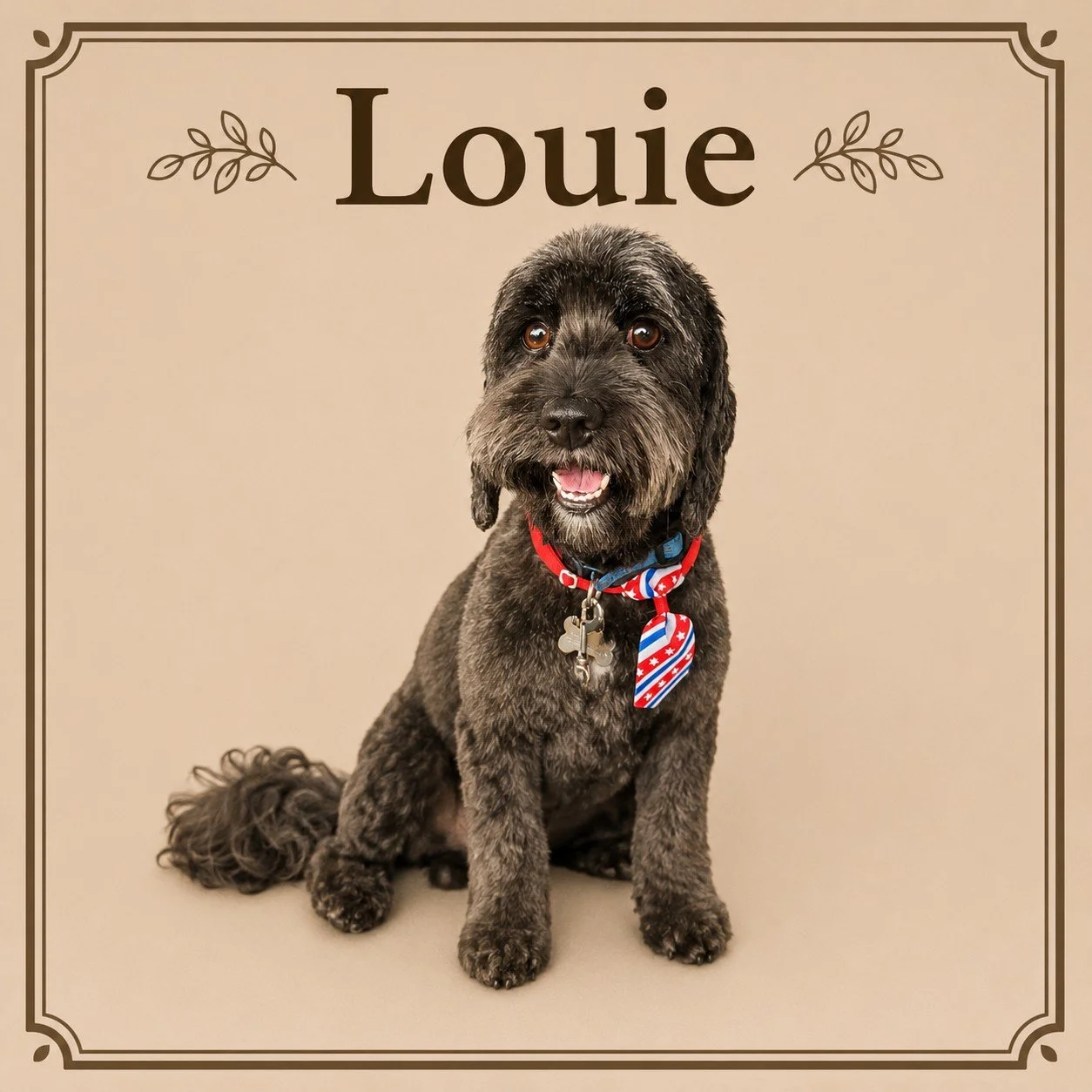Louie.jpeg