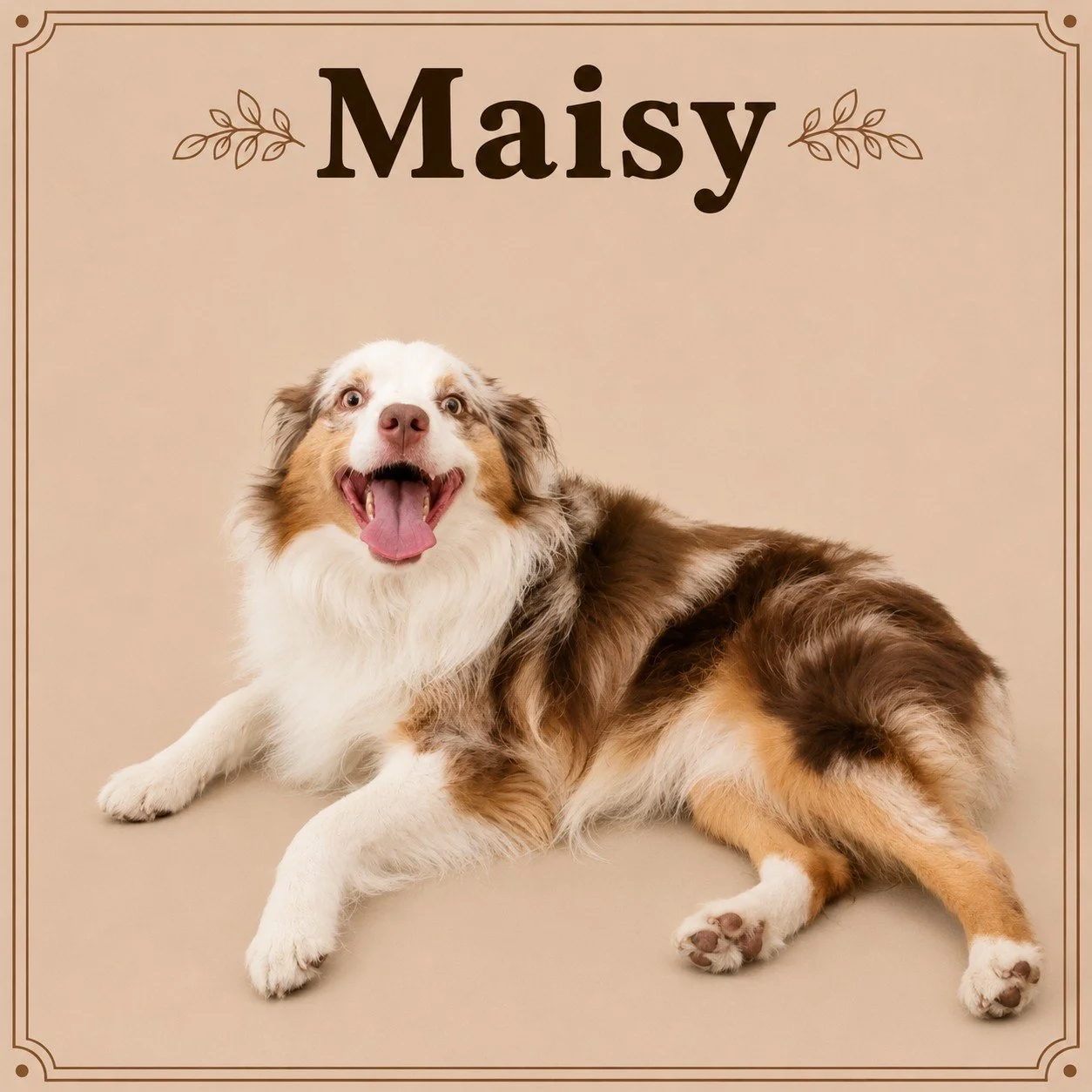 Maisy.jpeg