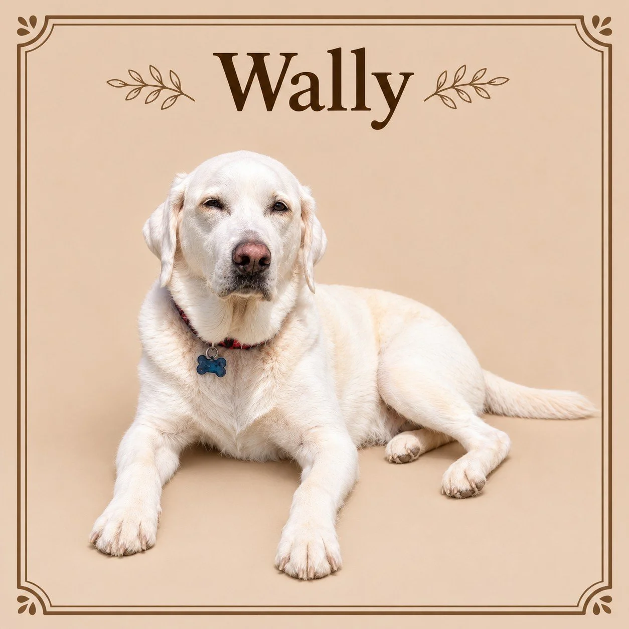 Wally.jpg