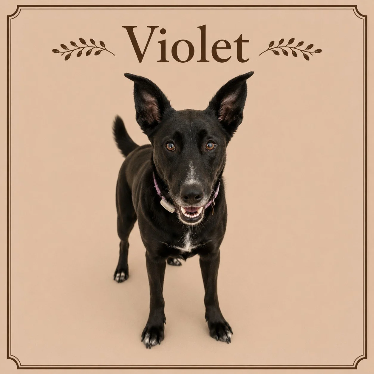 Violet.jpeg