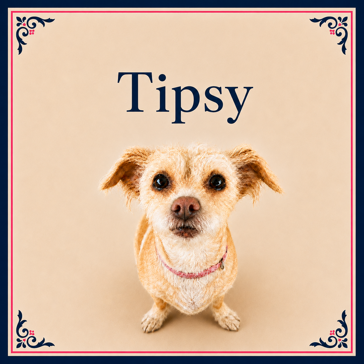 Tipsy