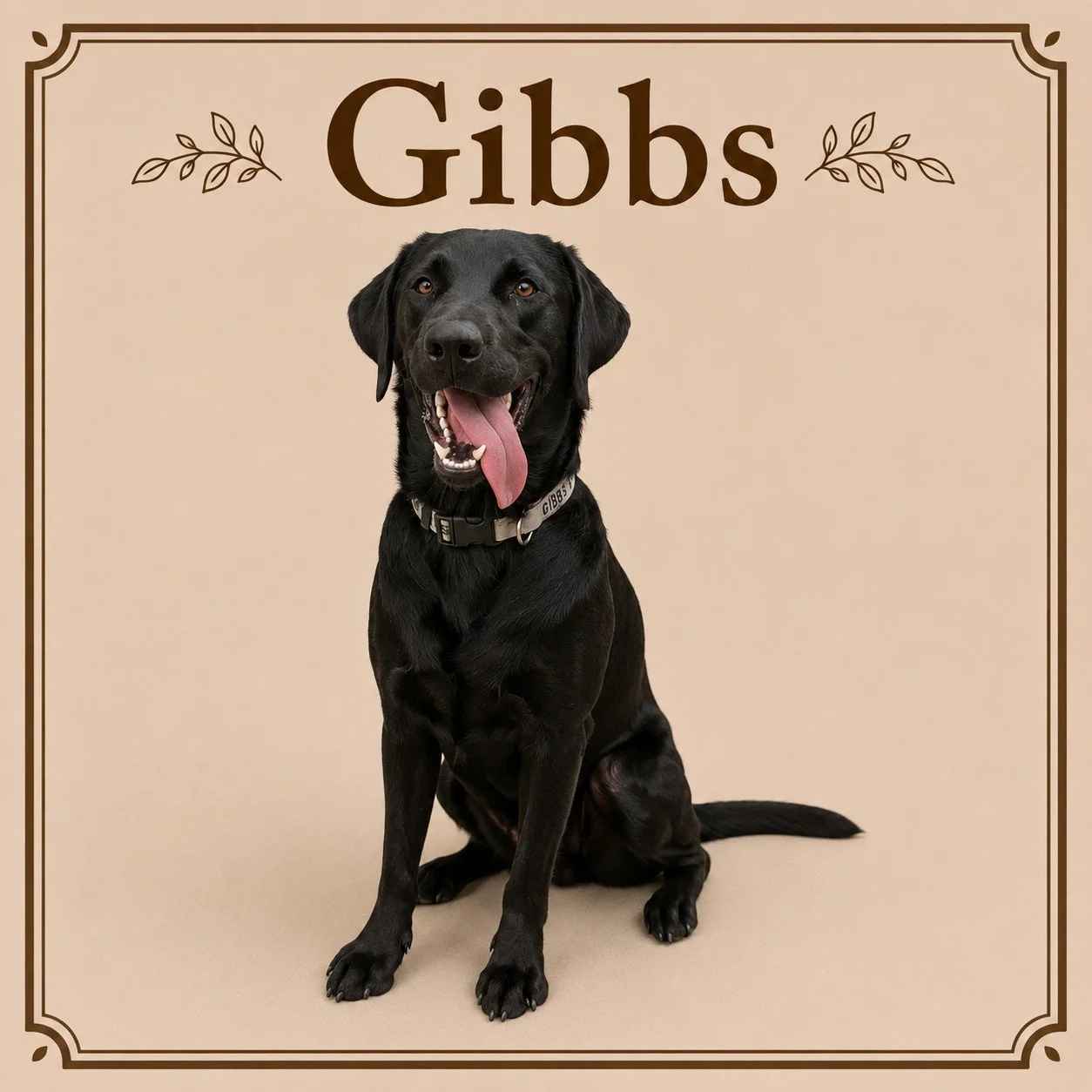 Gibbs.jpeg