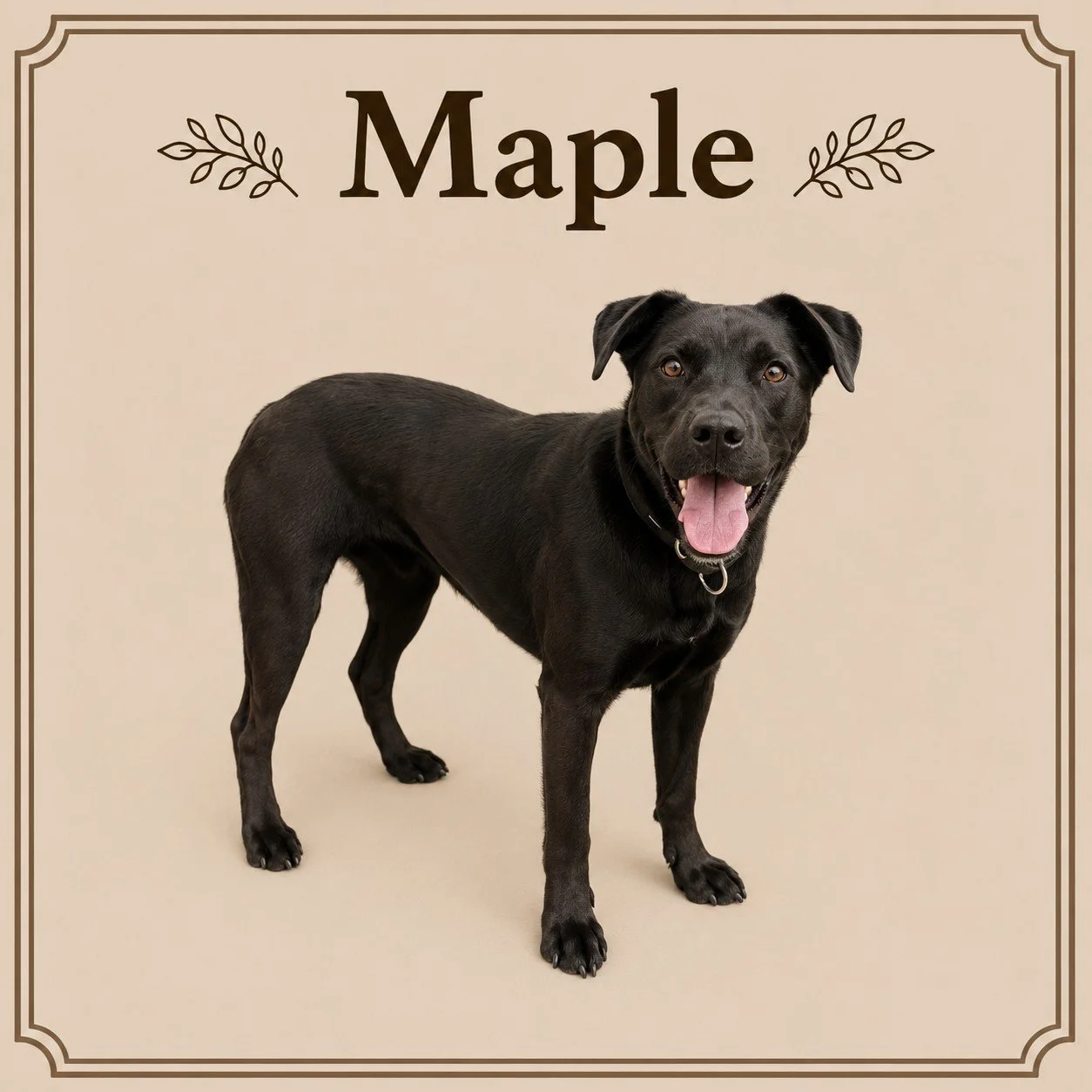Maple.jpeg