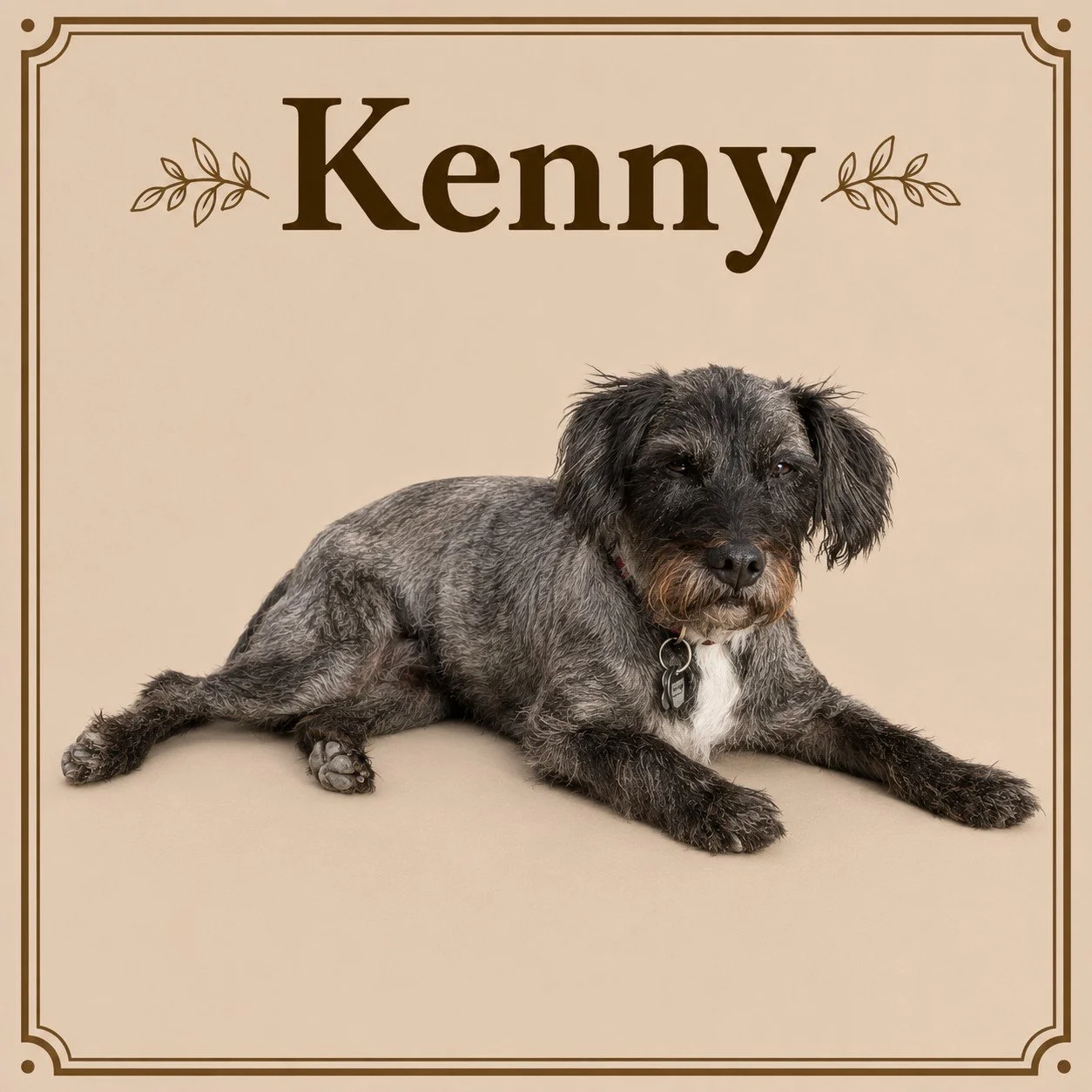 Kenny.jpeg