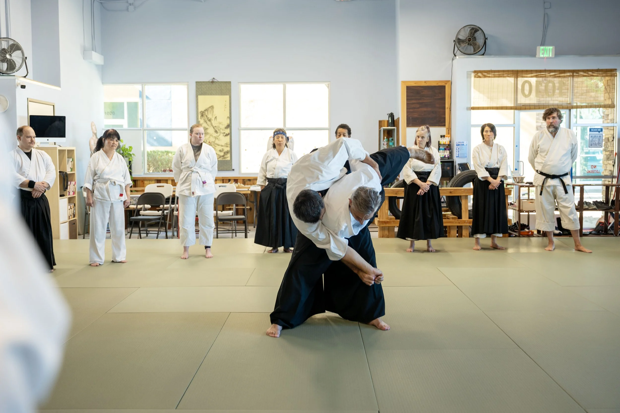 throwdemonstration