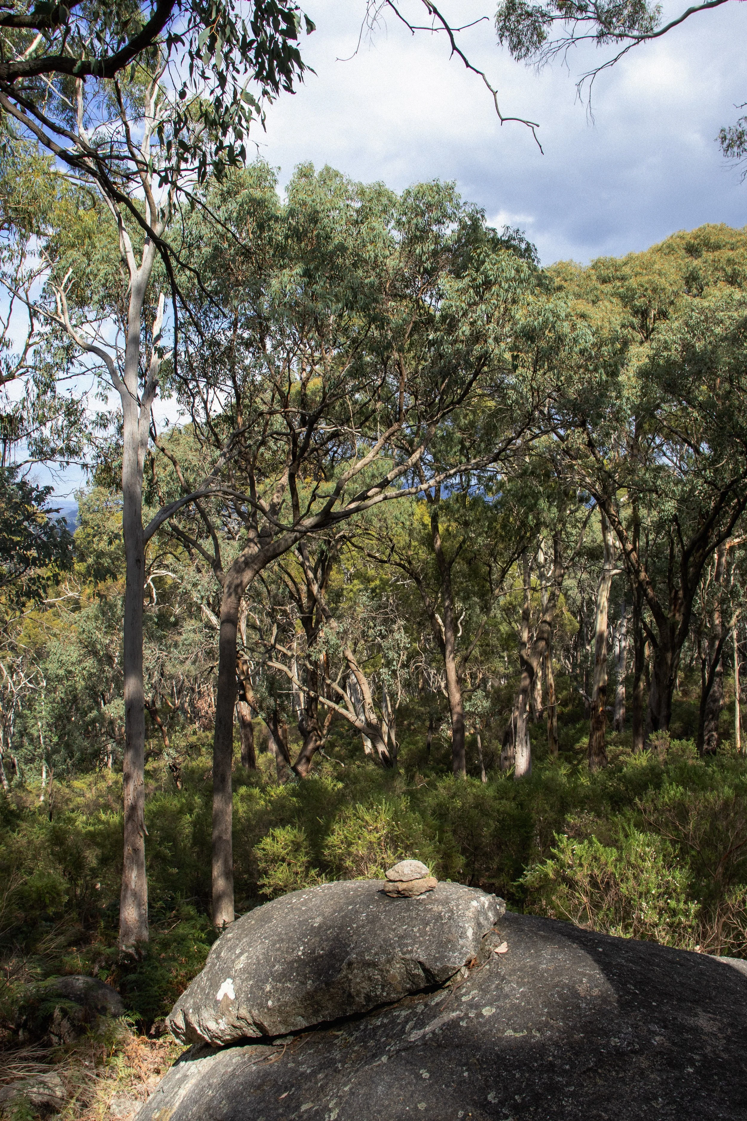 A large, dark grey rock with a small, flat rock balanced on top in a forested area. Tall trees with green leaves surround the rock, with a partly cloudy sky in the background.