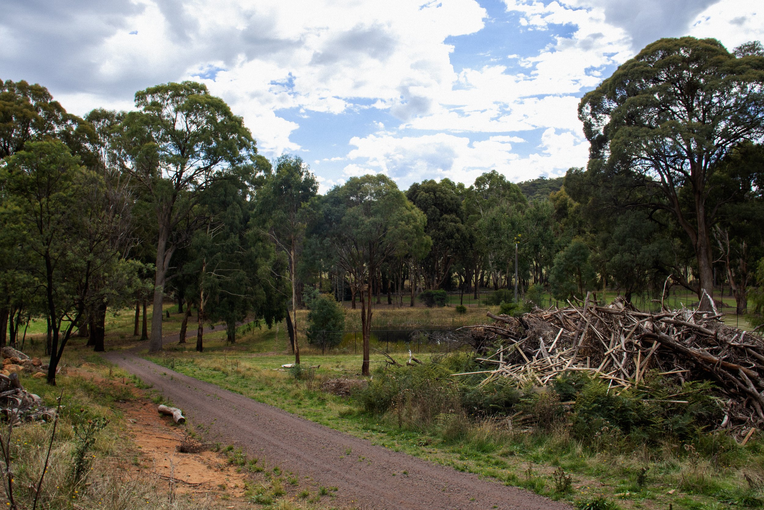 A dirt path curves through a forested area with green trees and shrubs. There is a pile of wood debris on the right side and some scattered logs on the left near the path. The sky is partly cloudy with patches of blue.