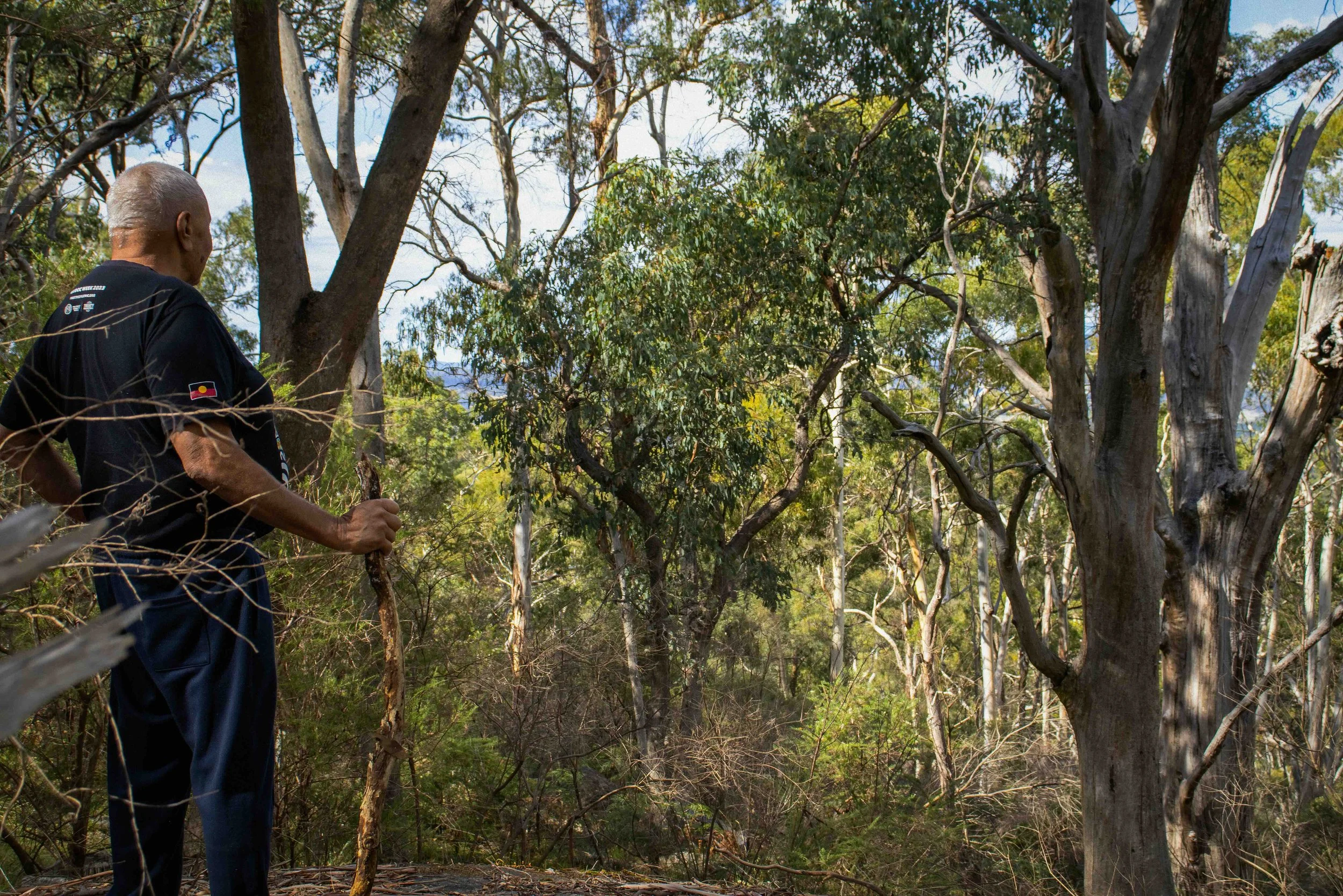 An older man with gray hair, wearing a black shirt with a small flag on the sleeve and blue pants, walking through a forested area with trees and green foliage.