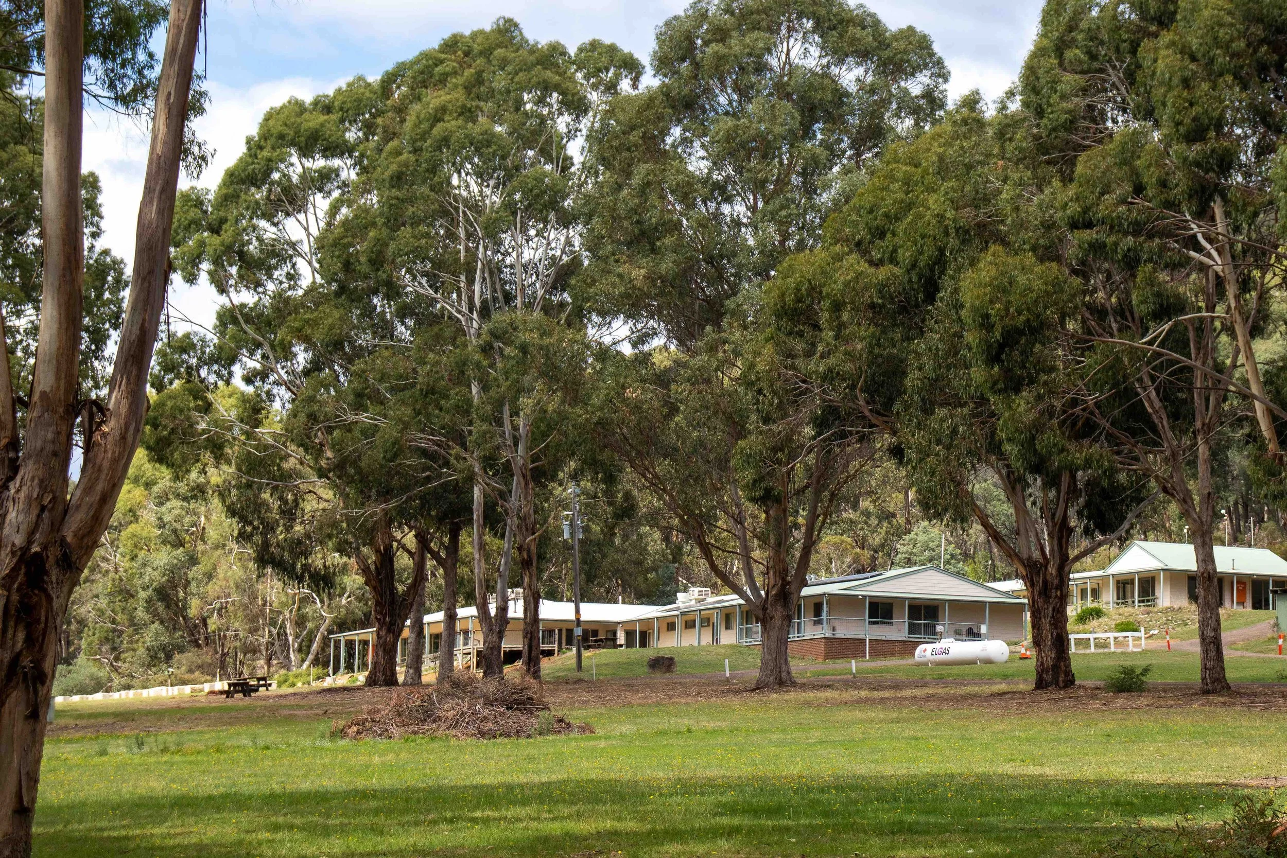 A backyard with large trees, a well-maintained lawn, a picnic bench, and houses with gray roofs in the background.