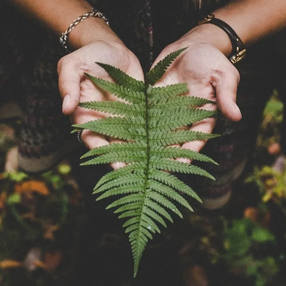 Person holding a green fern leaf with both hands, wearing rings and bracelets.