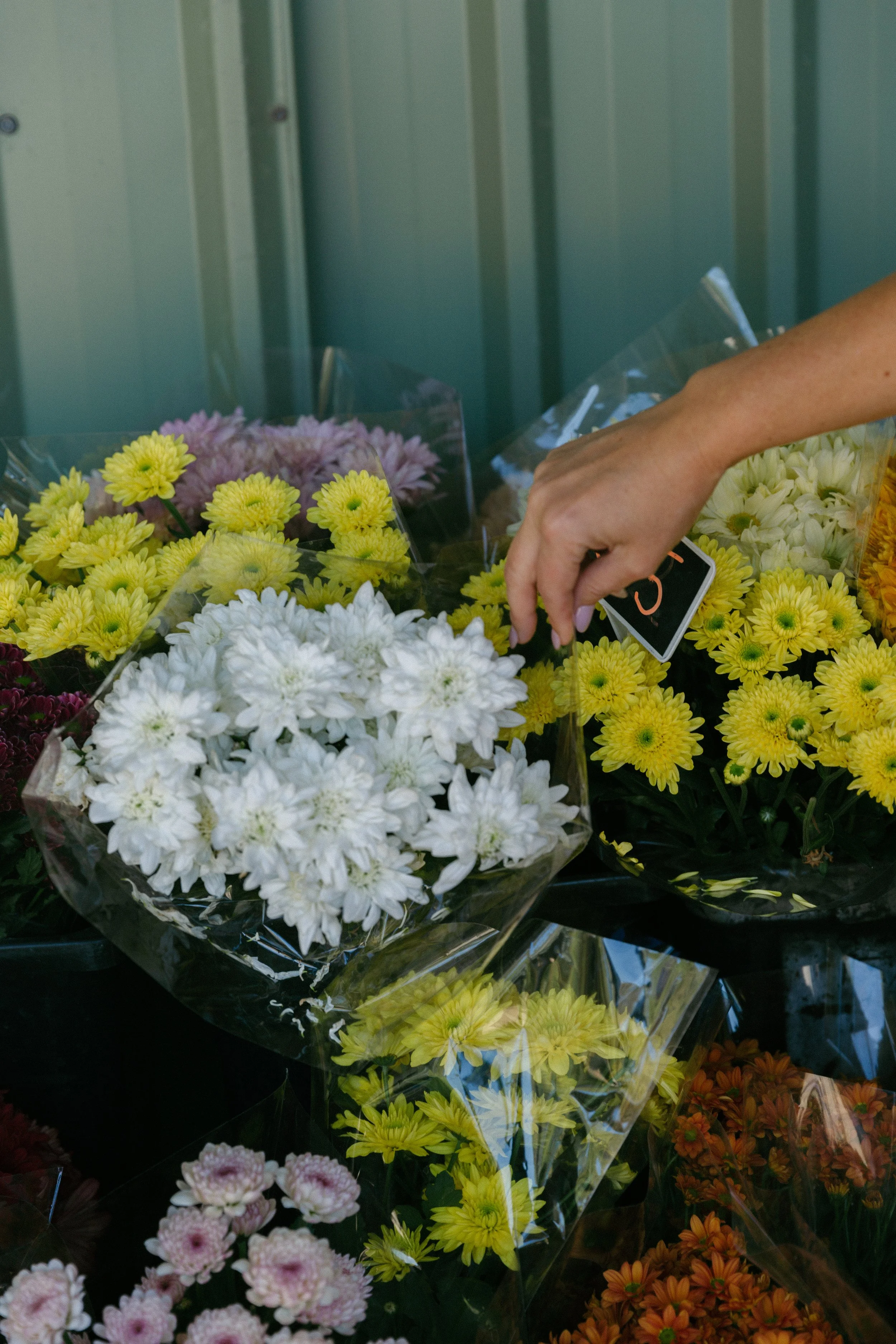 SJ>FLOWERS-3.jpg