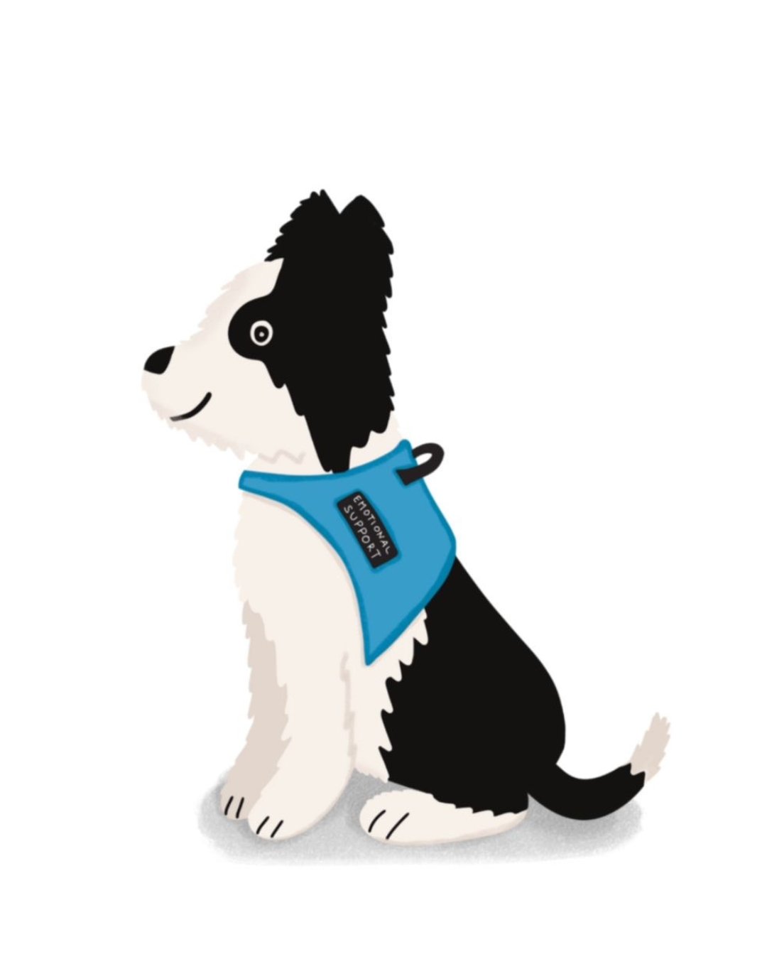 Illustration of a black and white dog wearing a blue support harness labeled "FRICTION NYC SUPPORT"