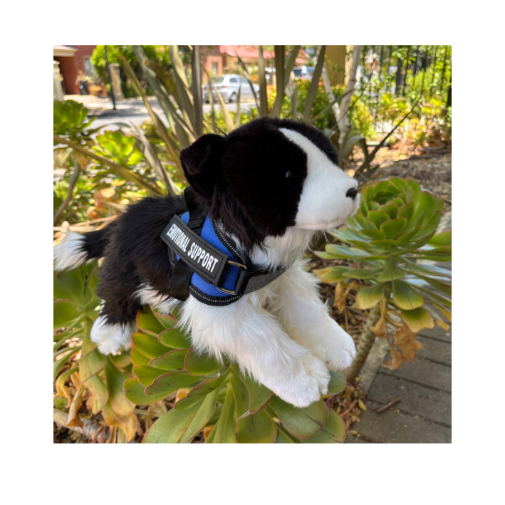 A realistic stuffed animal of a black and white puppy with a harness that has a support label, lying on green succulent plants outdoors.