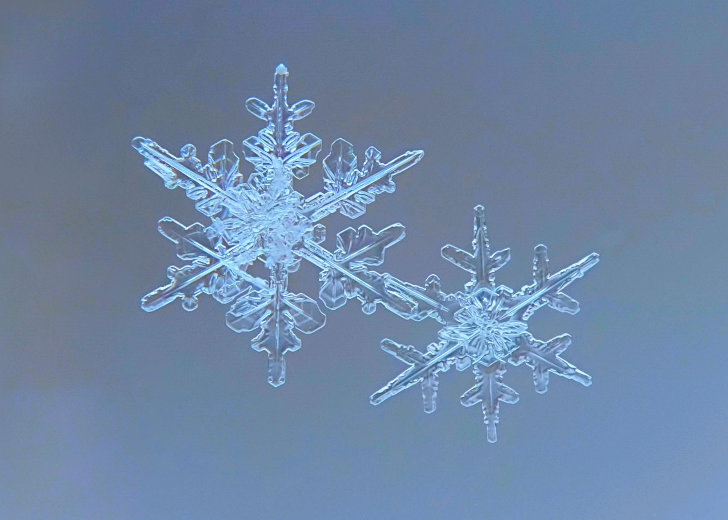Dr. Masaru Emoto, the Water Experiment, and Cymatics