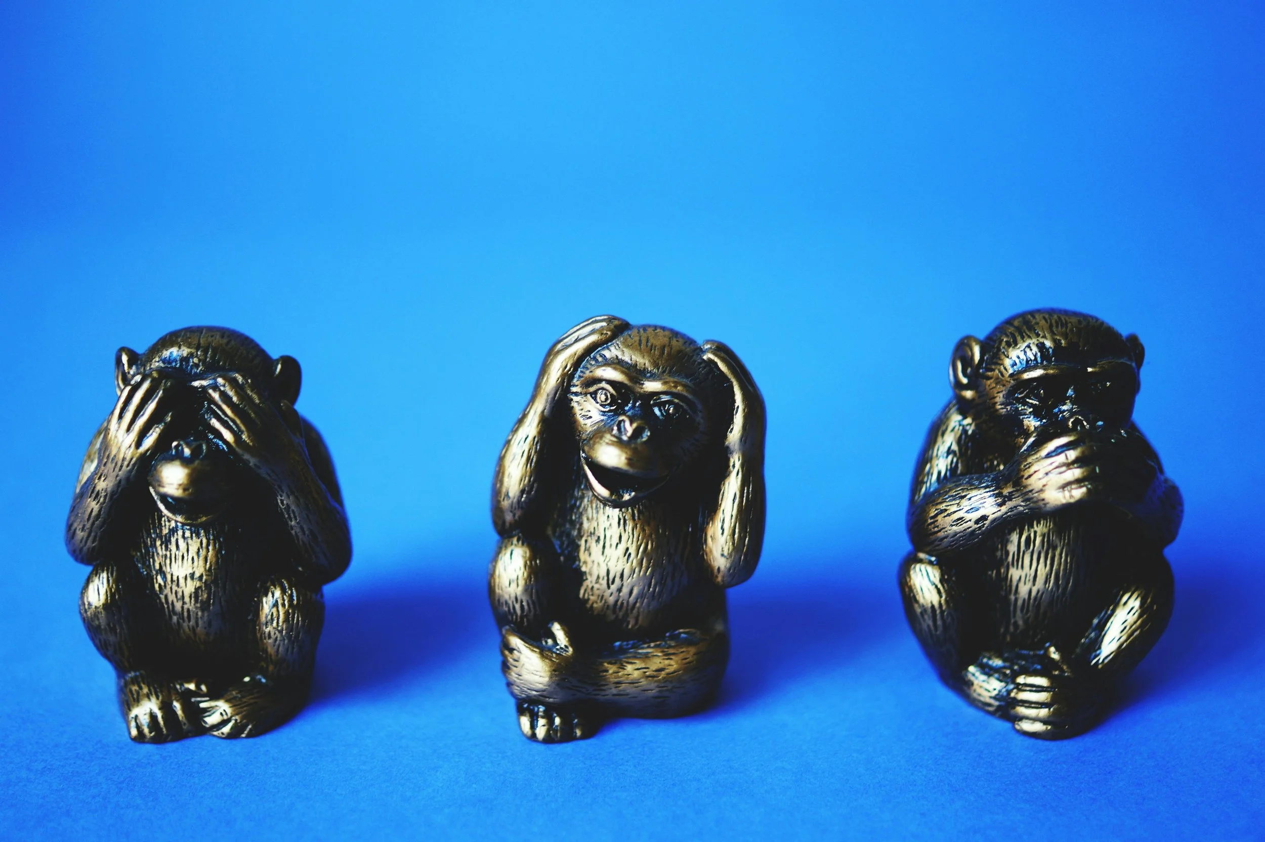 The Limitations of the Five Senses: What We Can’t See