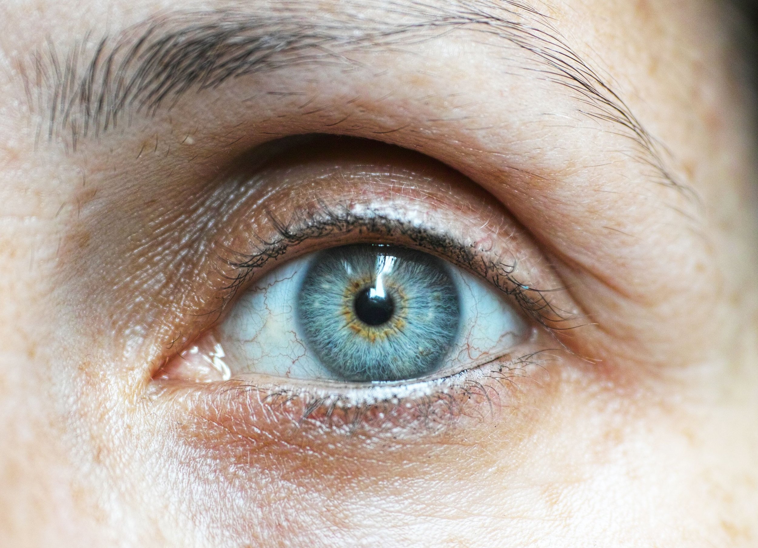 The Human Eye: Miracle and Limitations