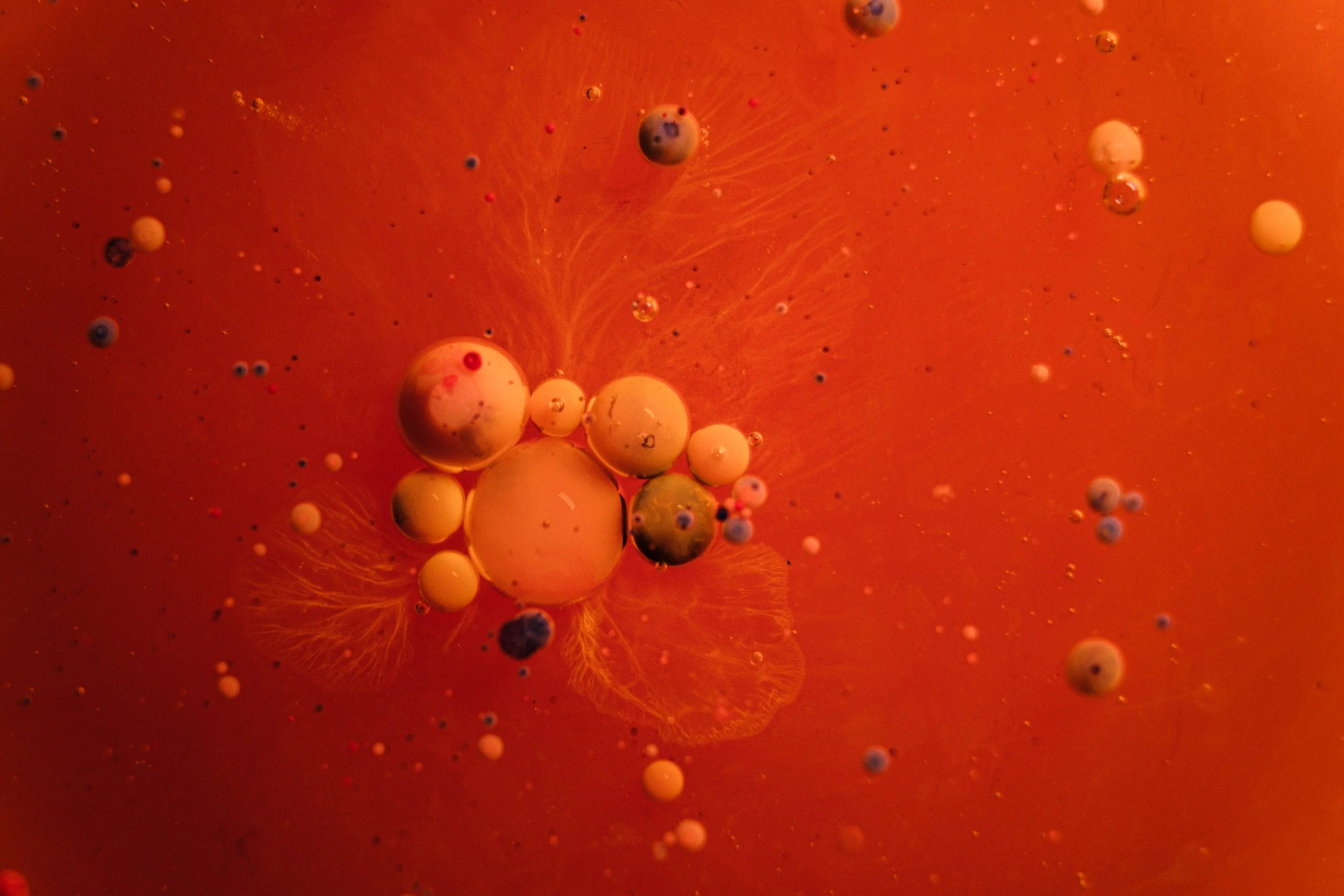 What Is Autophagy and How Can It Help Me?