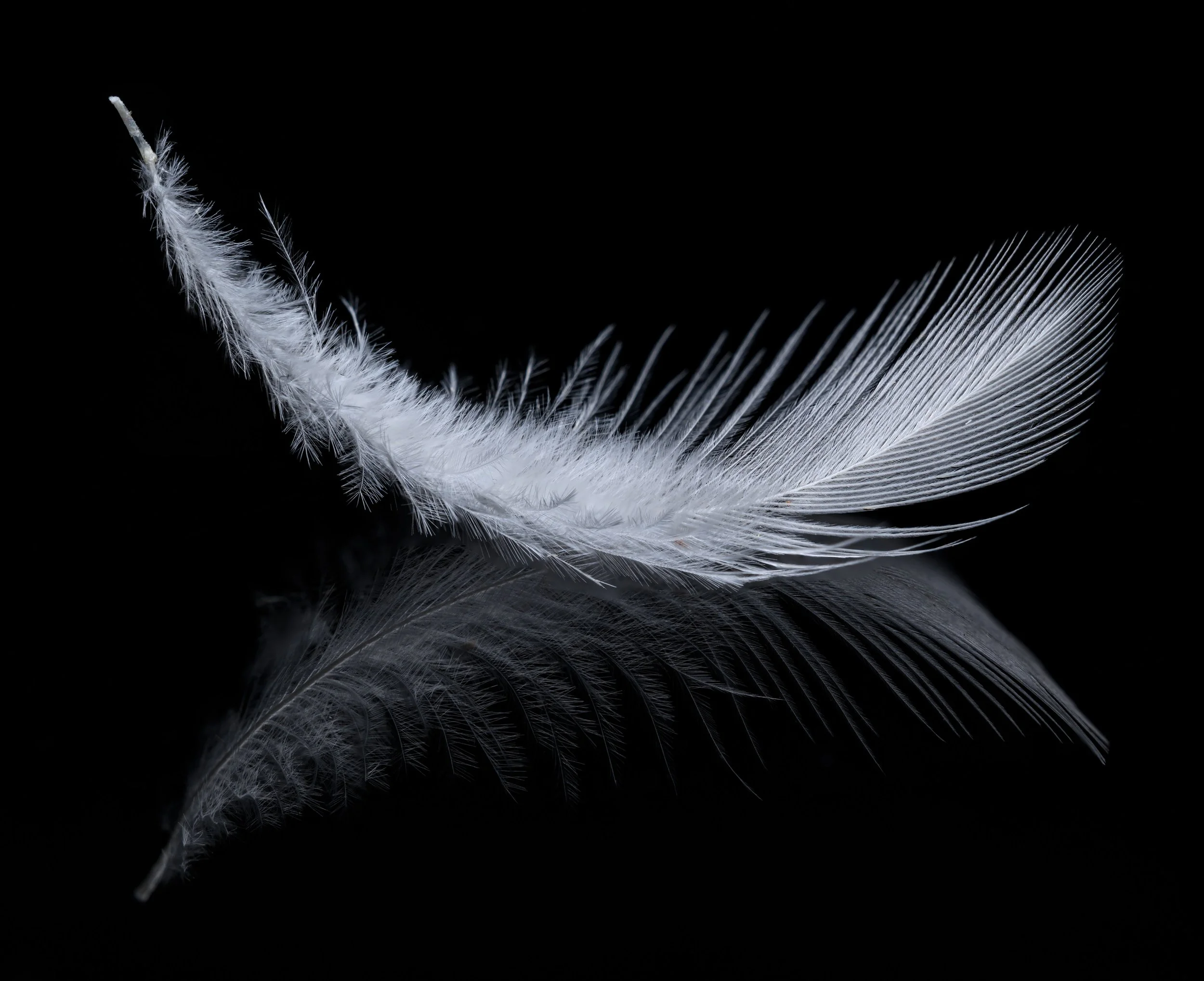 Your Life Can Be Transformed With a Feather, Not a Sledgehammer