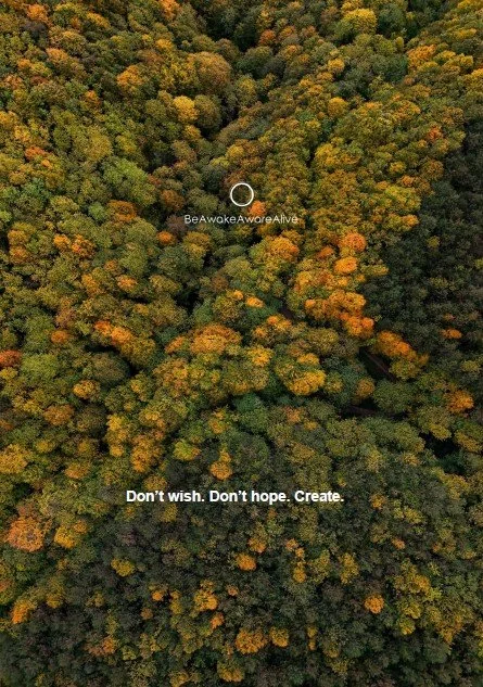 Don't wish. Don't hope. Create.