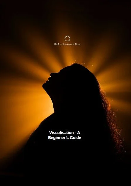 Visualisation - A Beginner’s Guide
