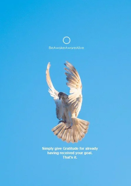 Gratitude front cover.jpg