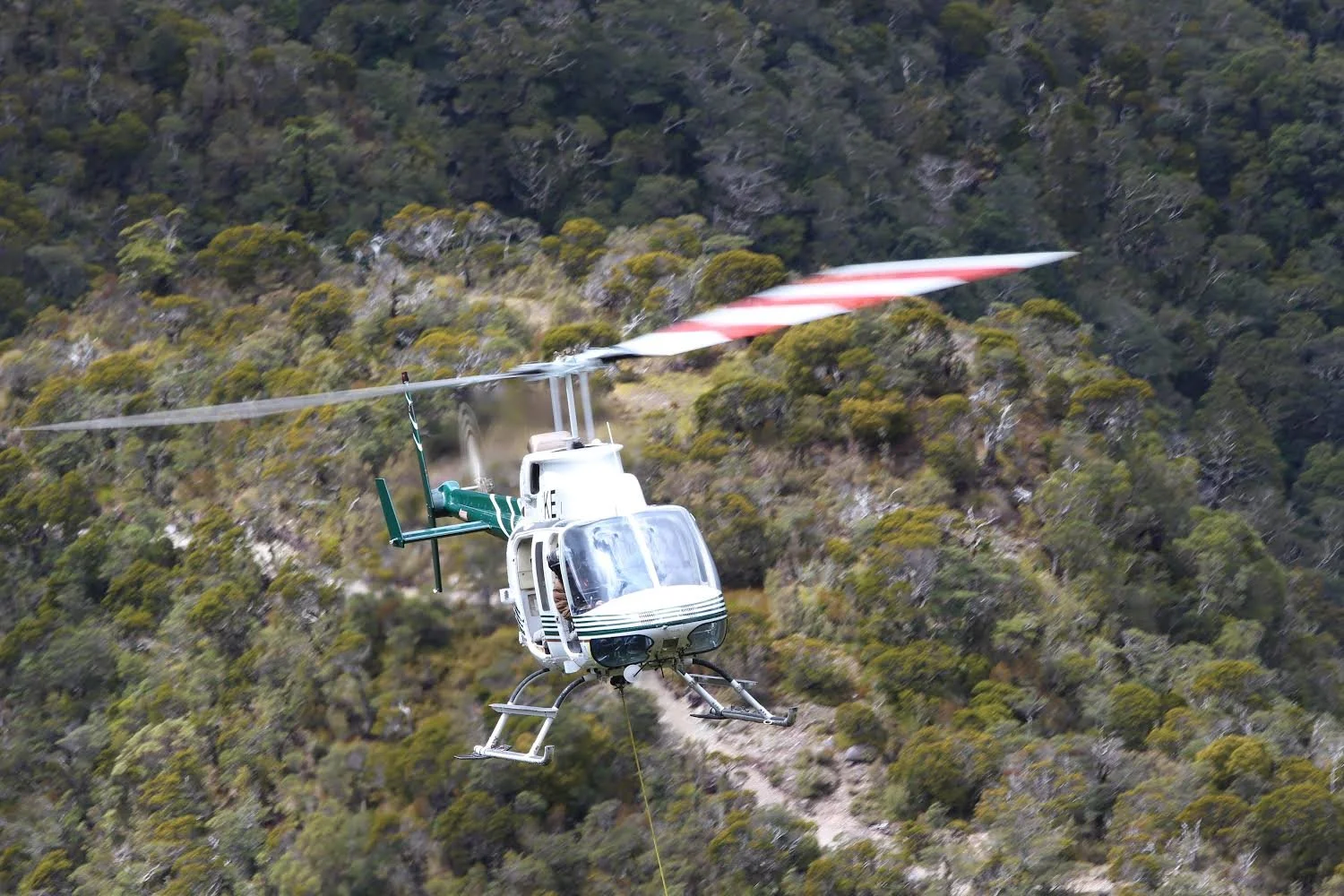 A helicopter flying over a forested mountain area.