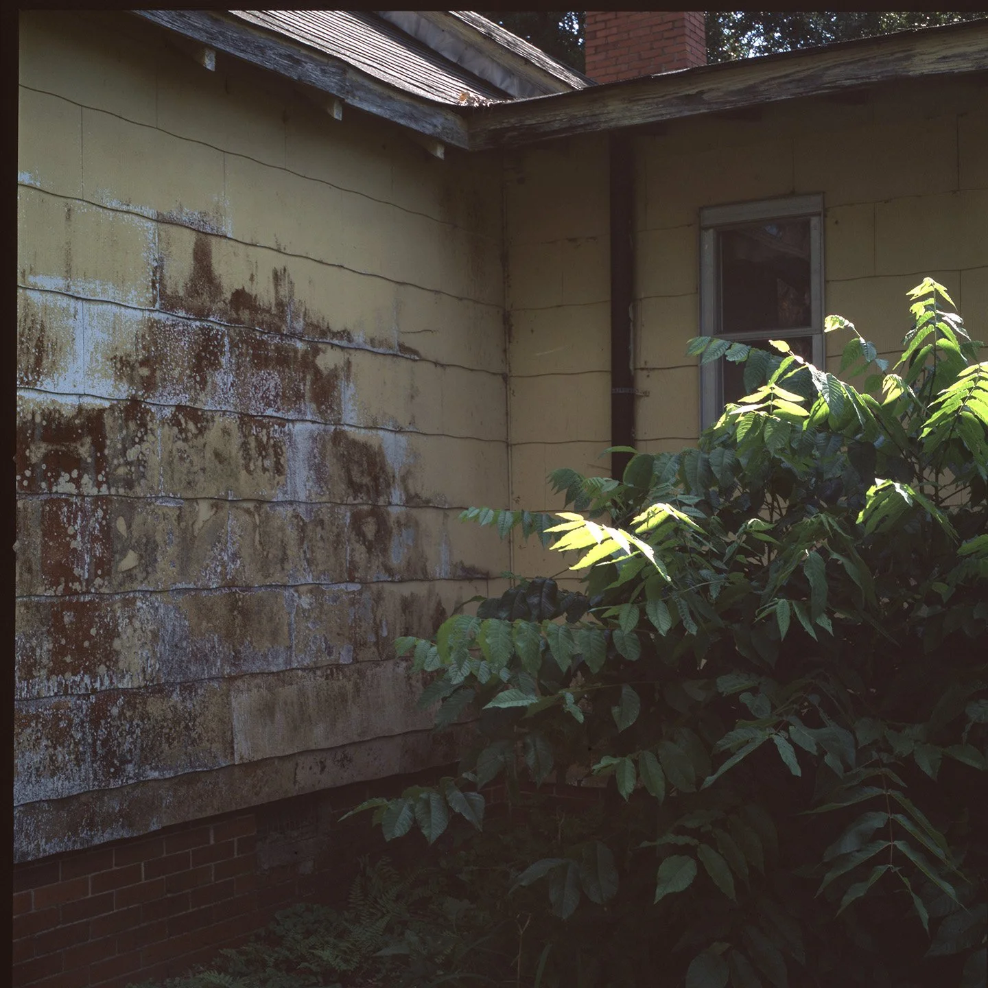 Yellow, Archival Inkjet Print, 2022
