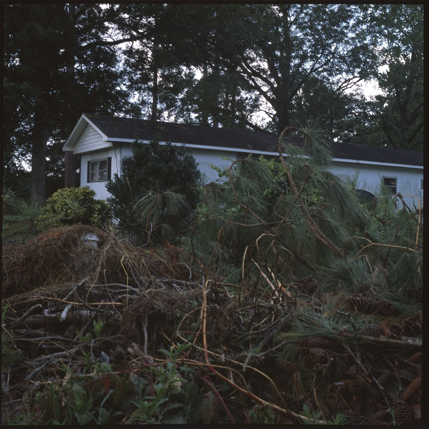 Bonfire, Archival Inkjet Print, 2023