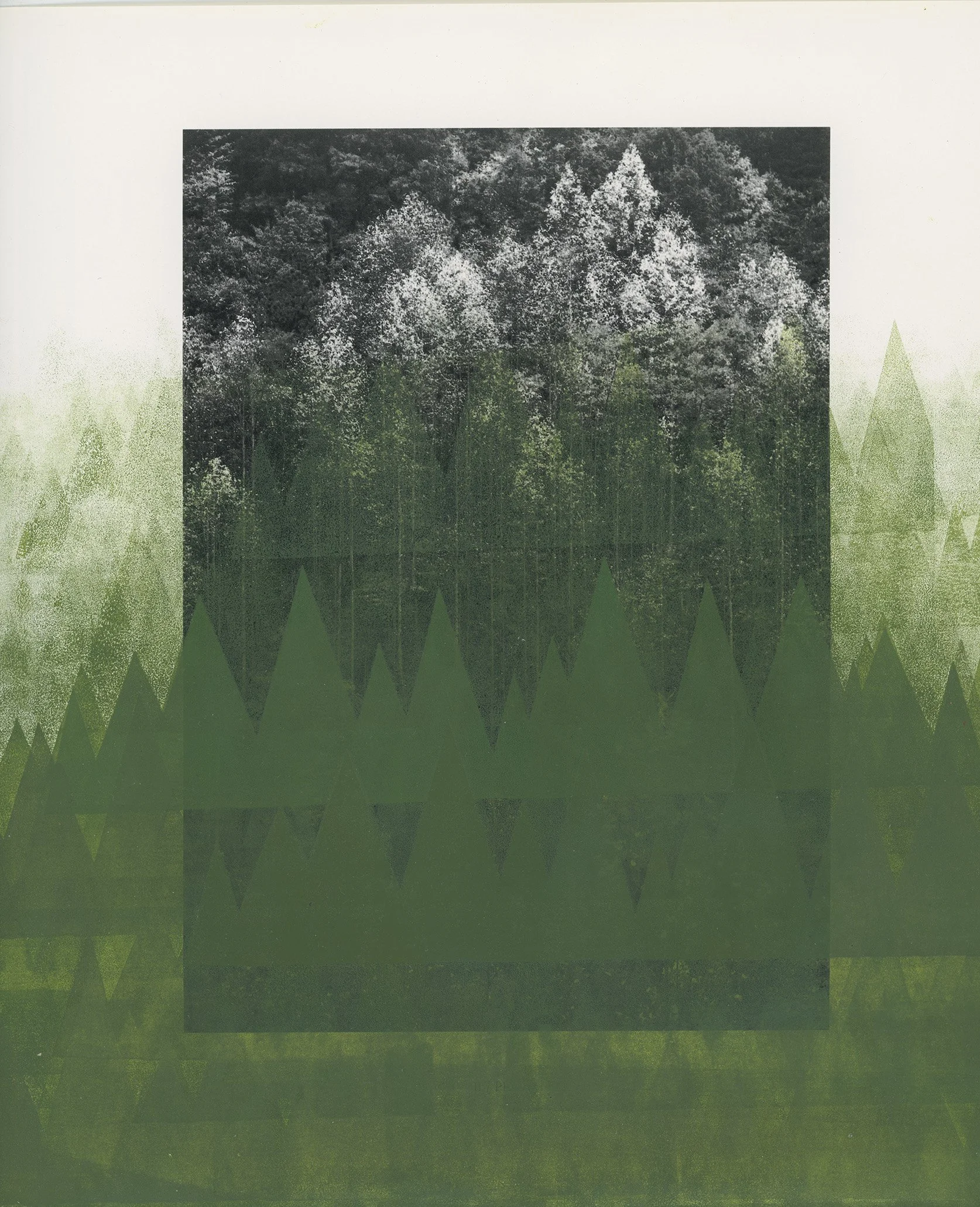 On Ansel Adams #1, Screenprinting, 2018