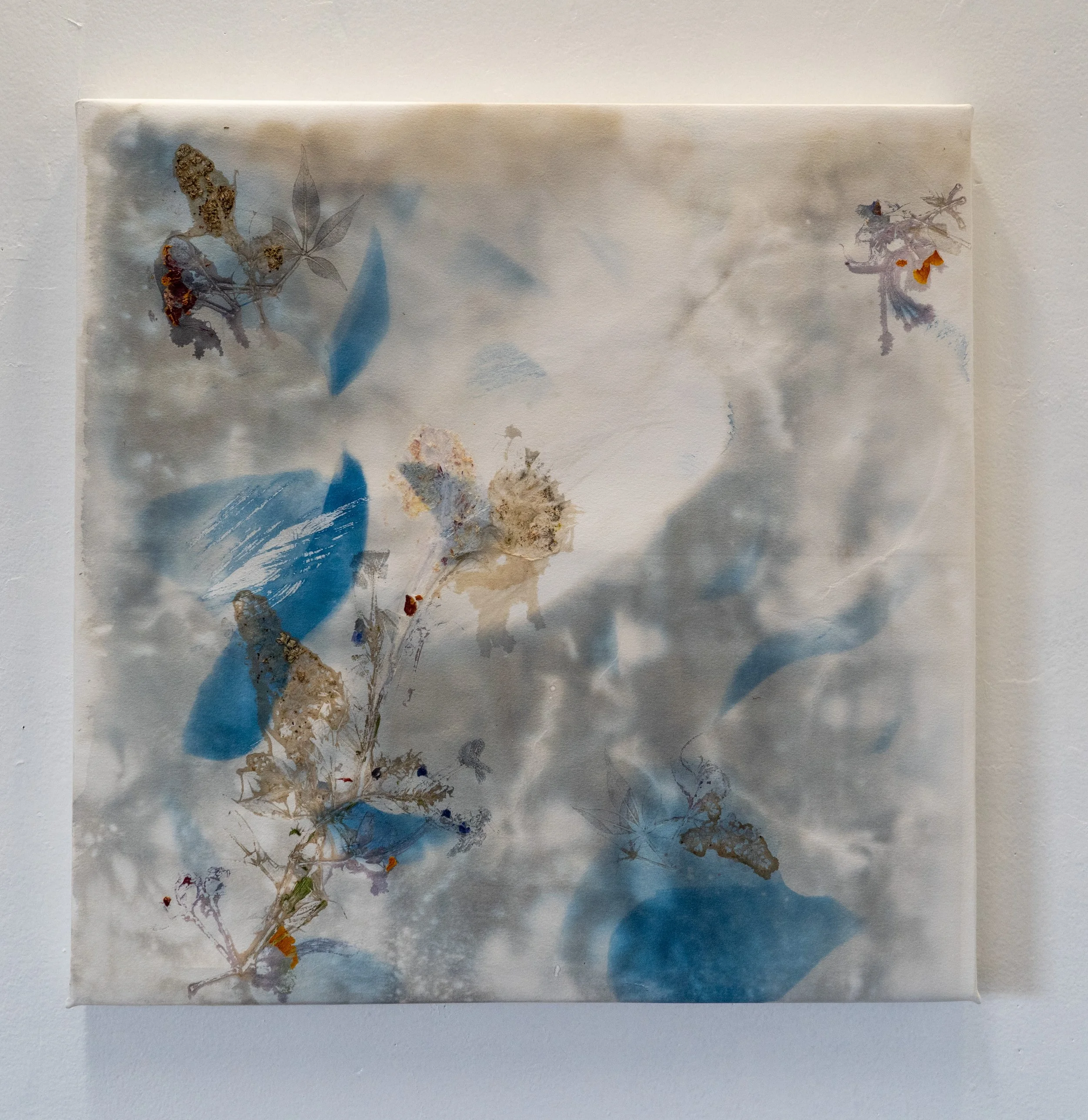 Under the Trees, Cyanotype, Pressed Flowers, 2024
