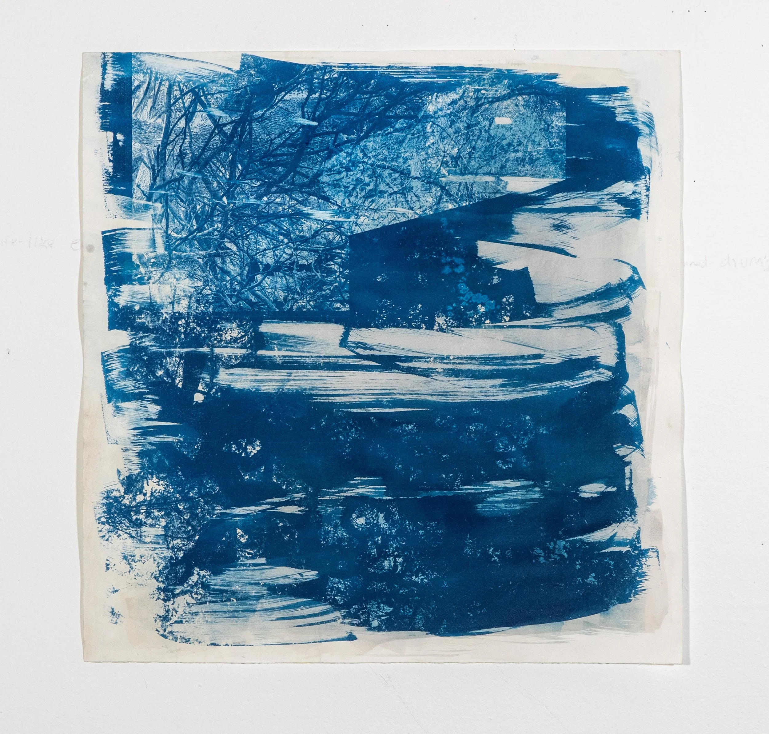 Into the River, Cyanotype, 2025