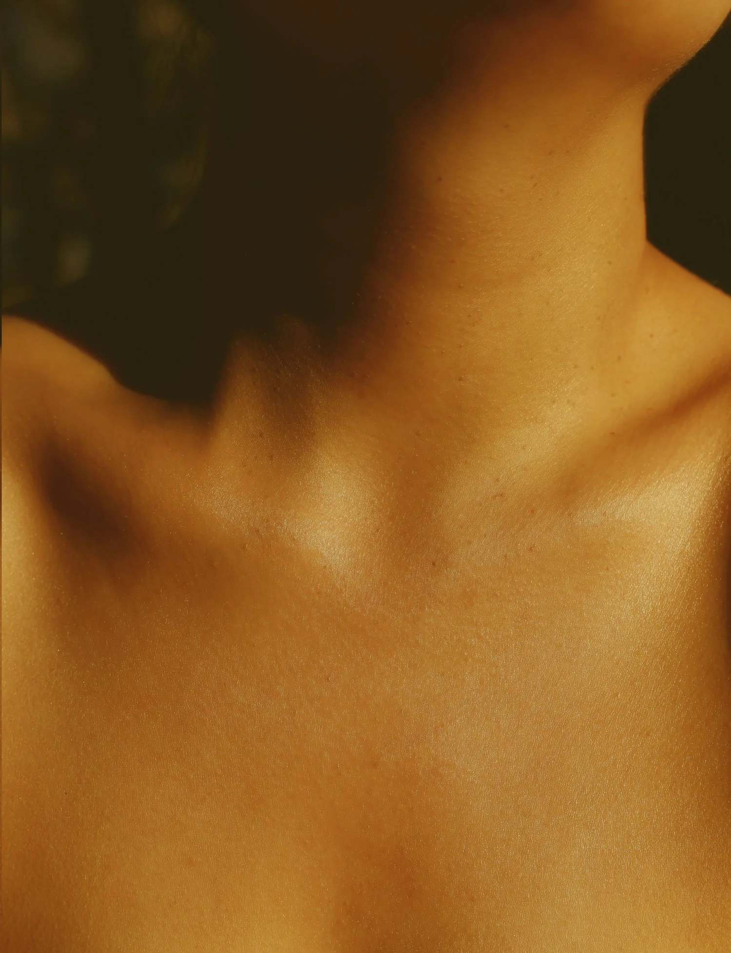 Sacred Body Chest