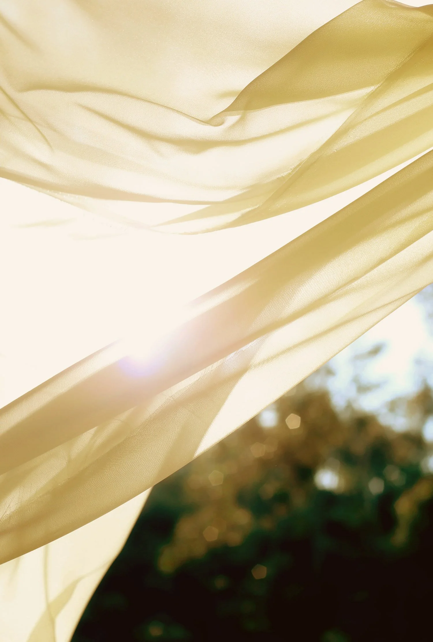 Cloth, sun, wind