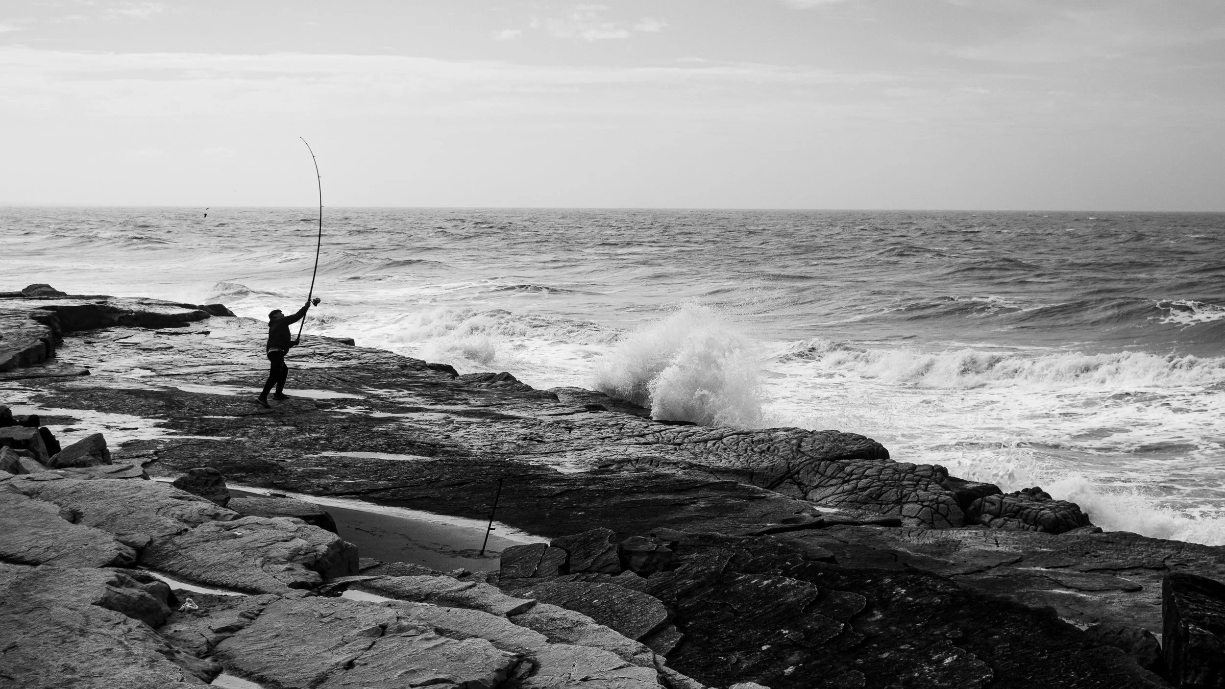 DSC_1468.jpg