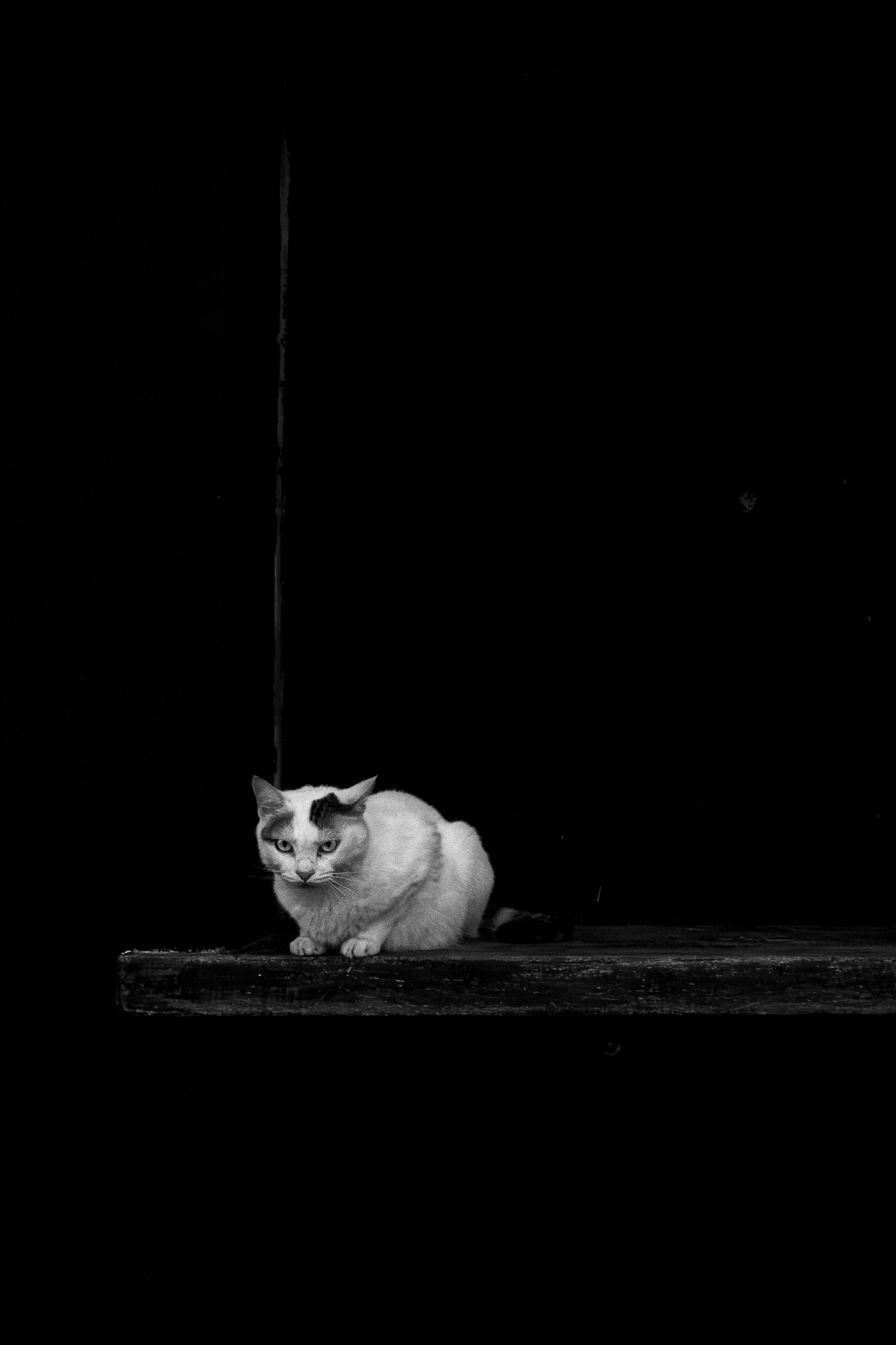 DSC_7540.jpg