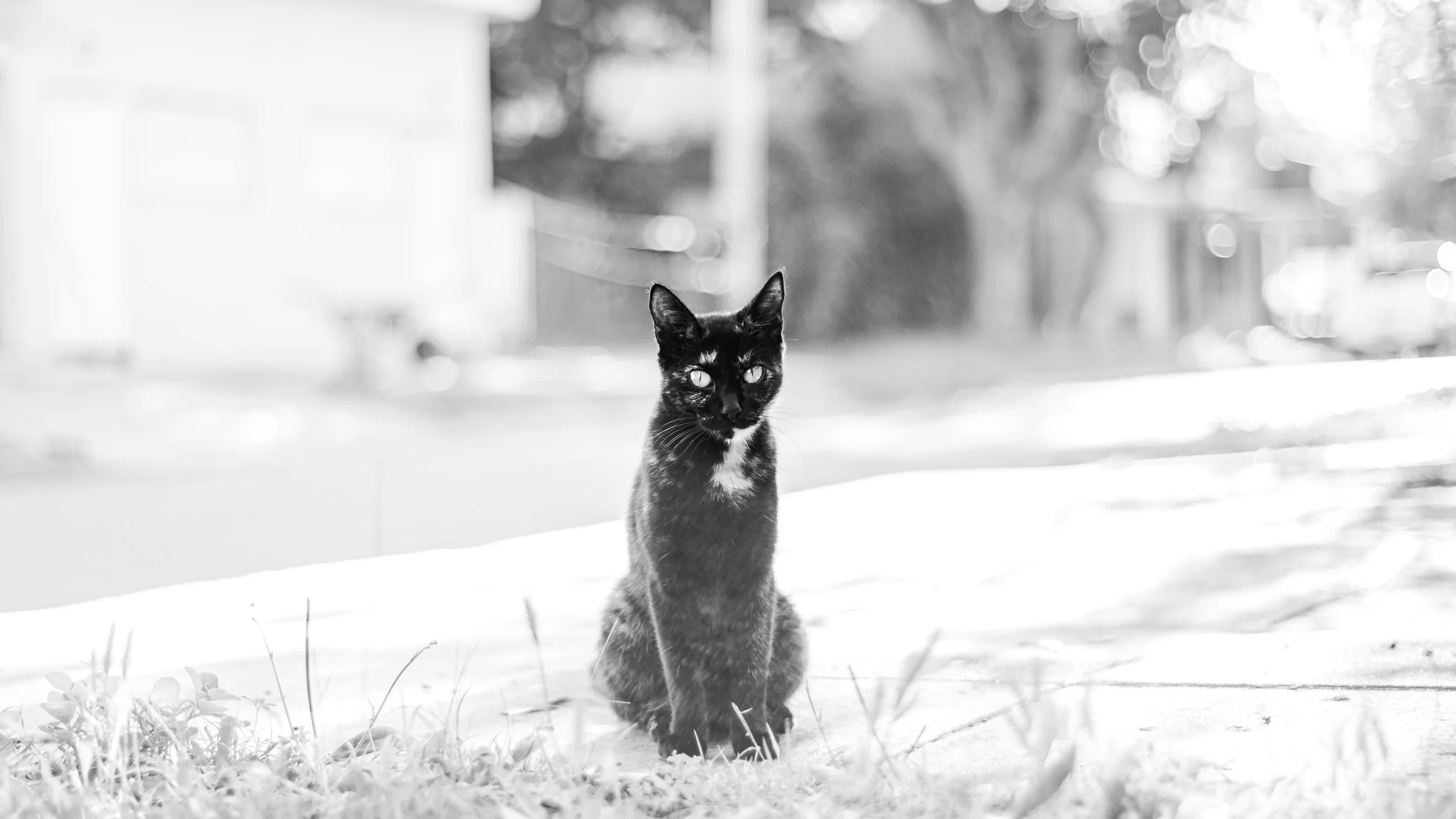 DSC_3356.jpg