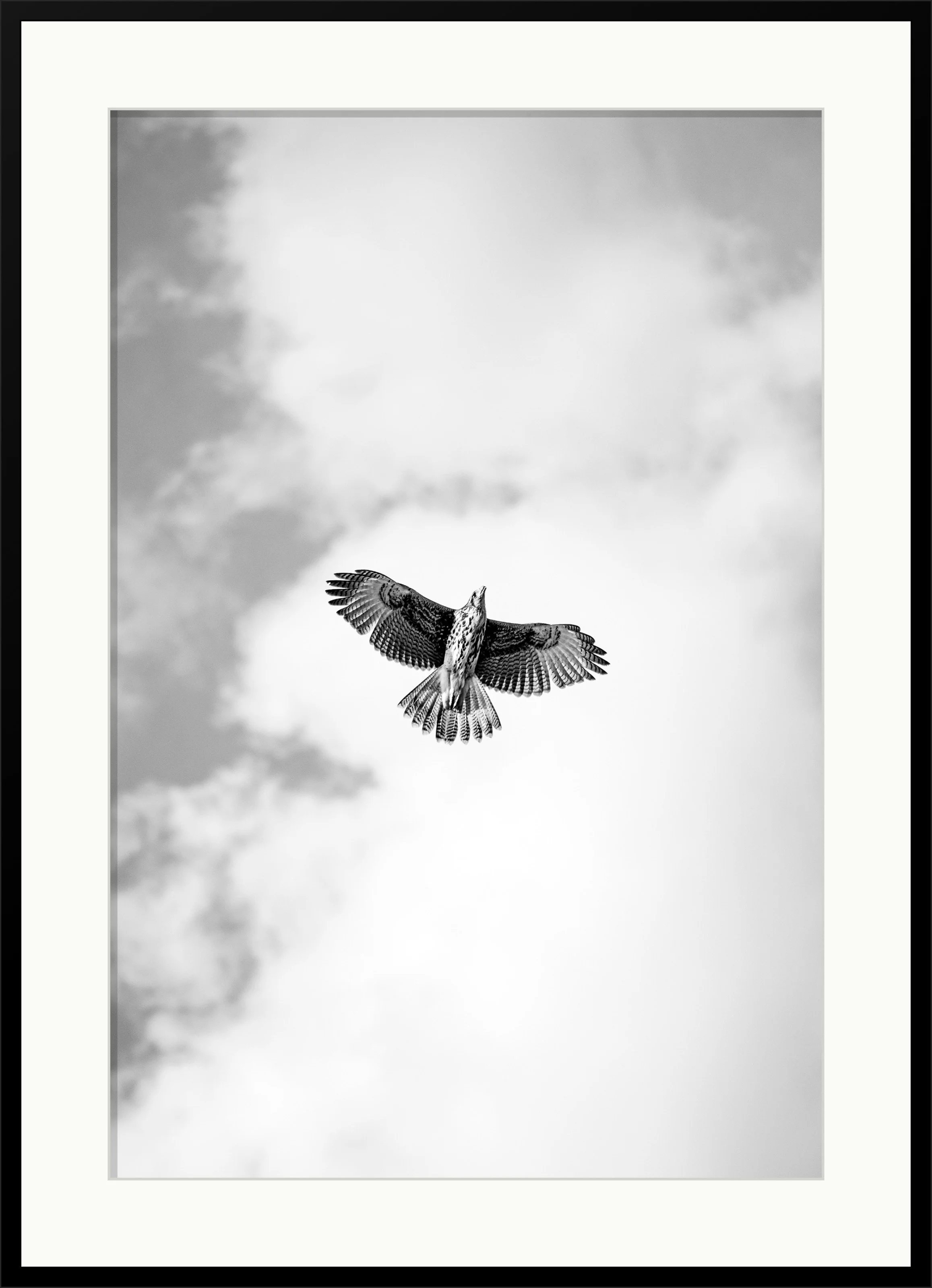 artplacer.app-n2xyj.jpg