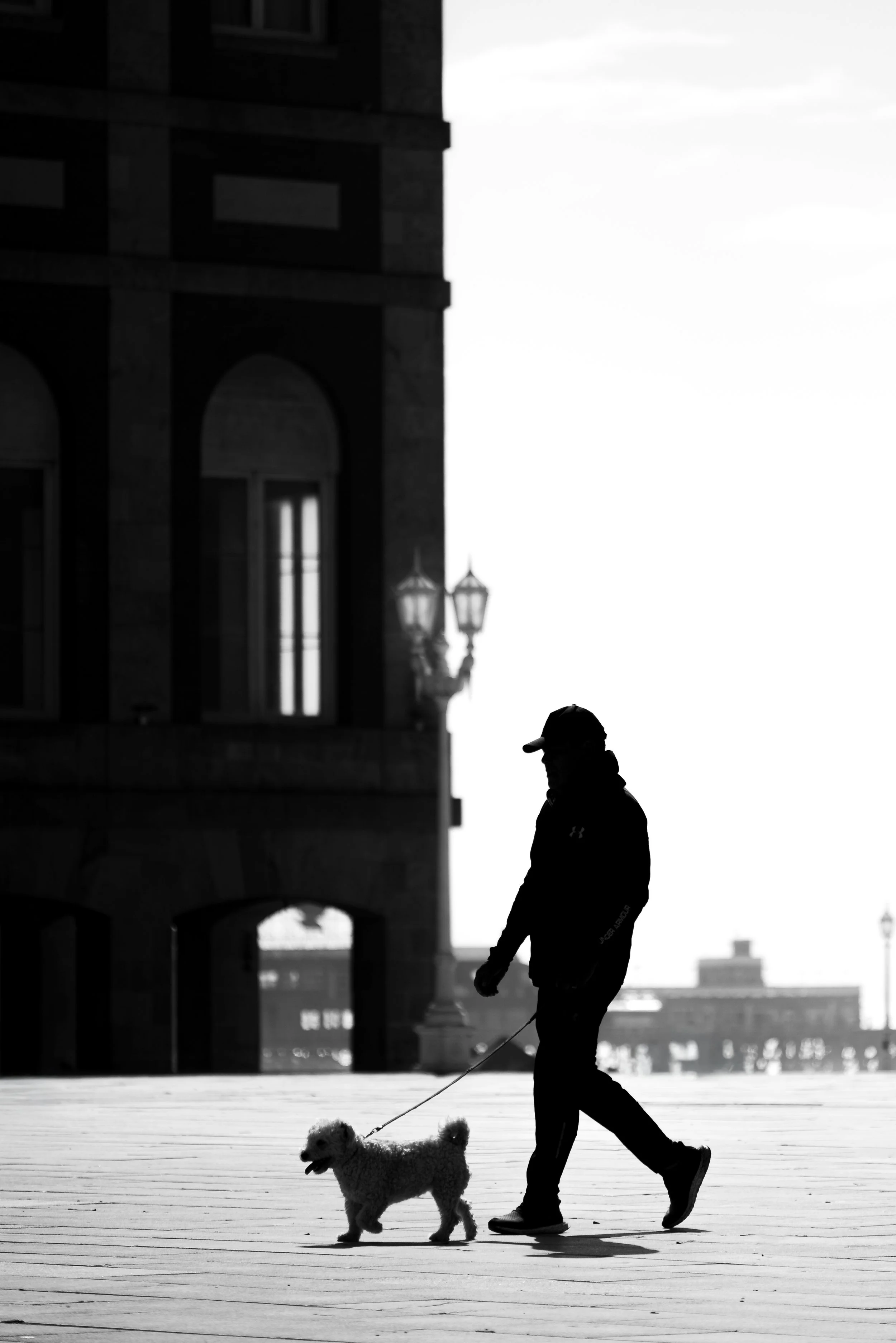 DSC_1007.jpg