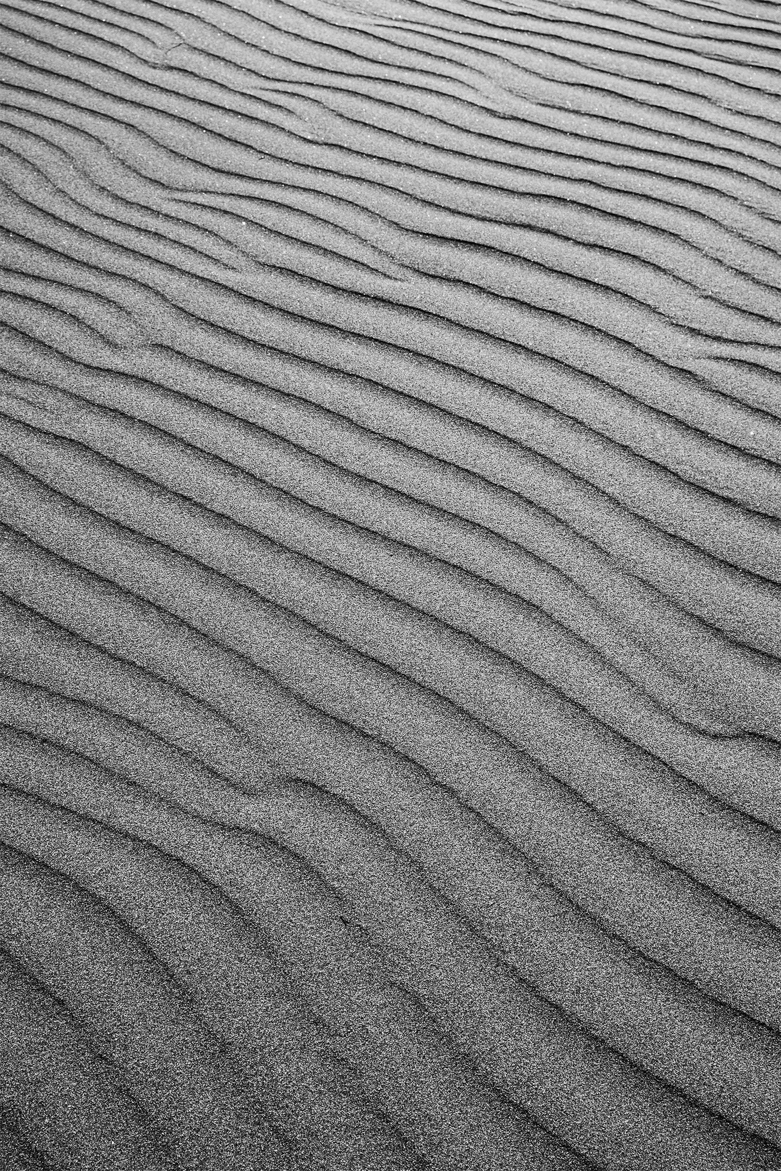 DSC_7755.jpg