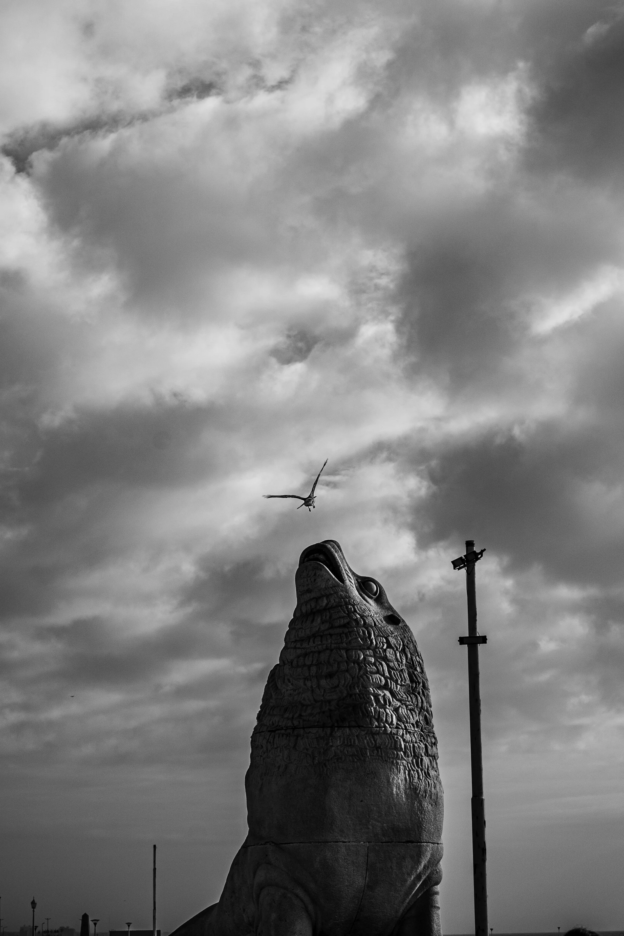 DSC_0856.jpg