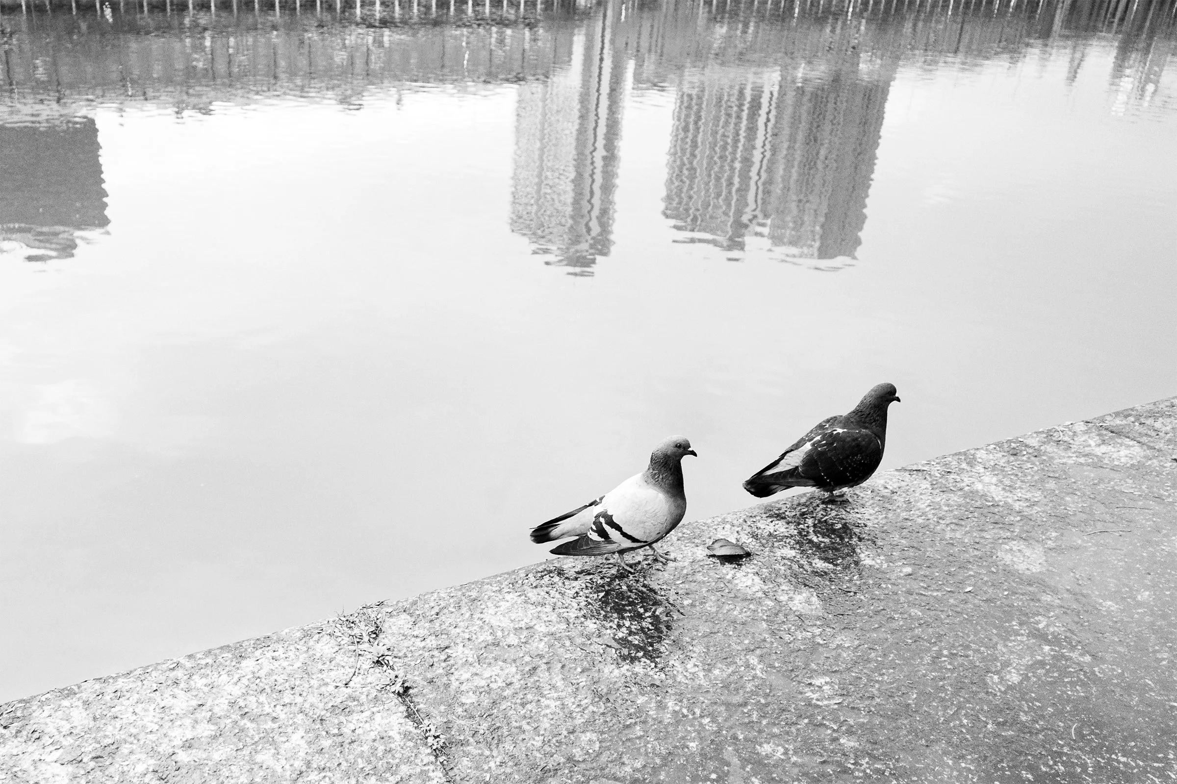 DSC_7260.jpg