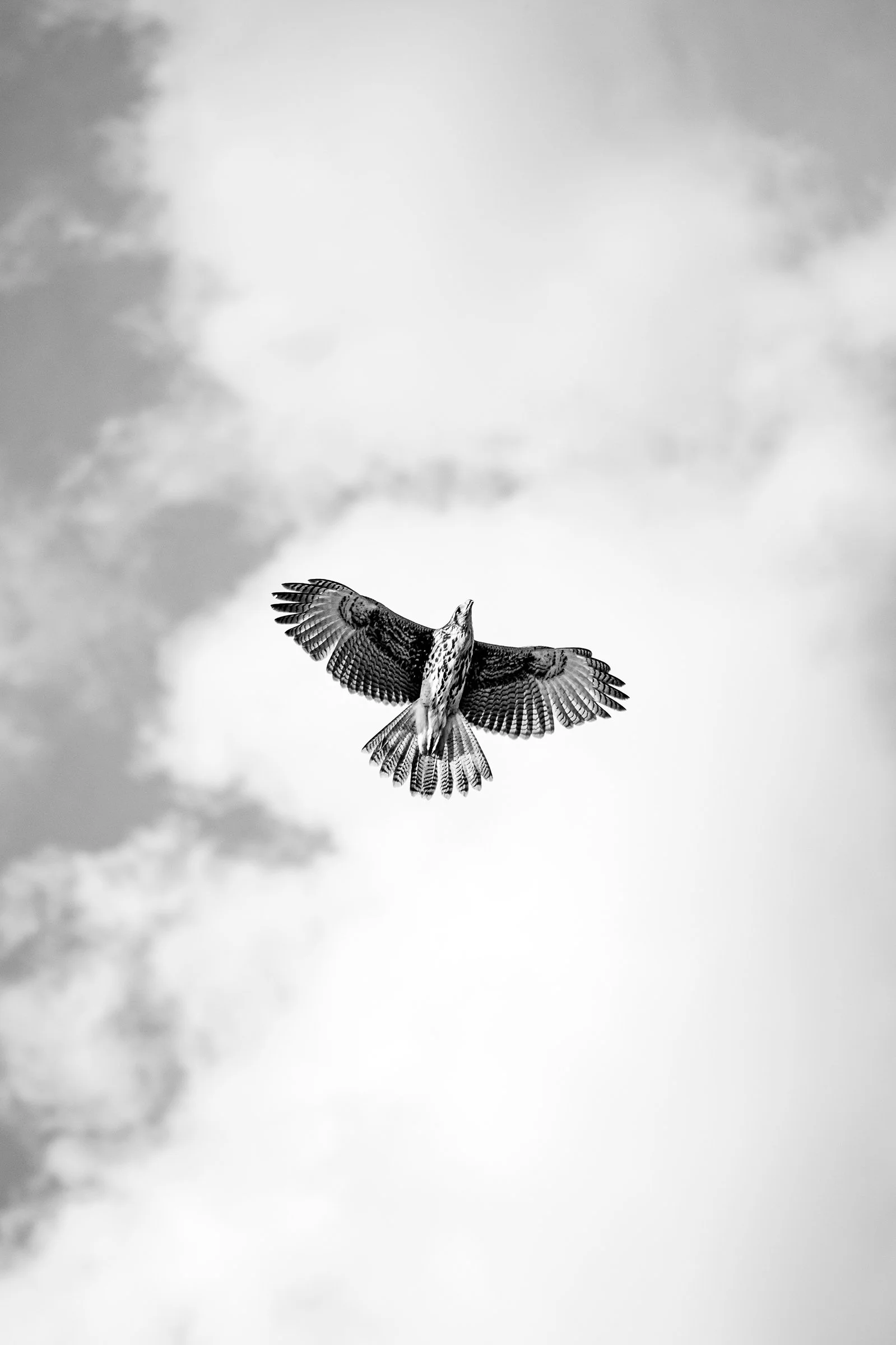 DSC_4419.jpg