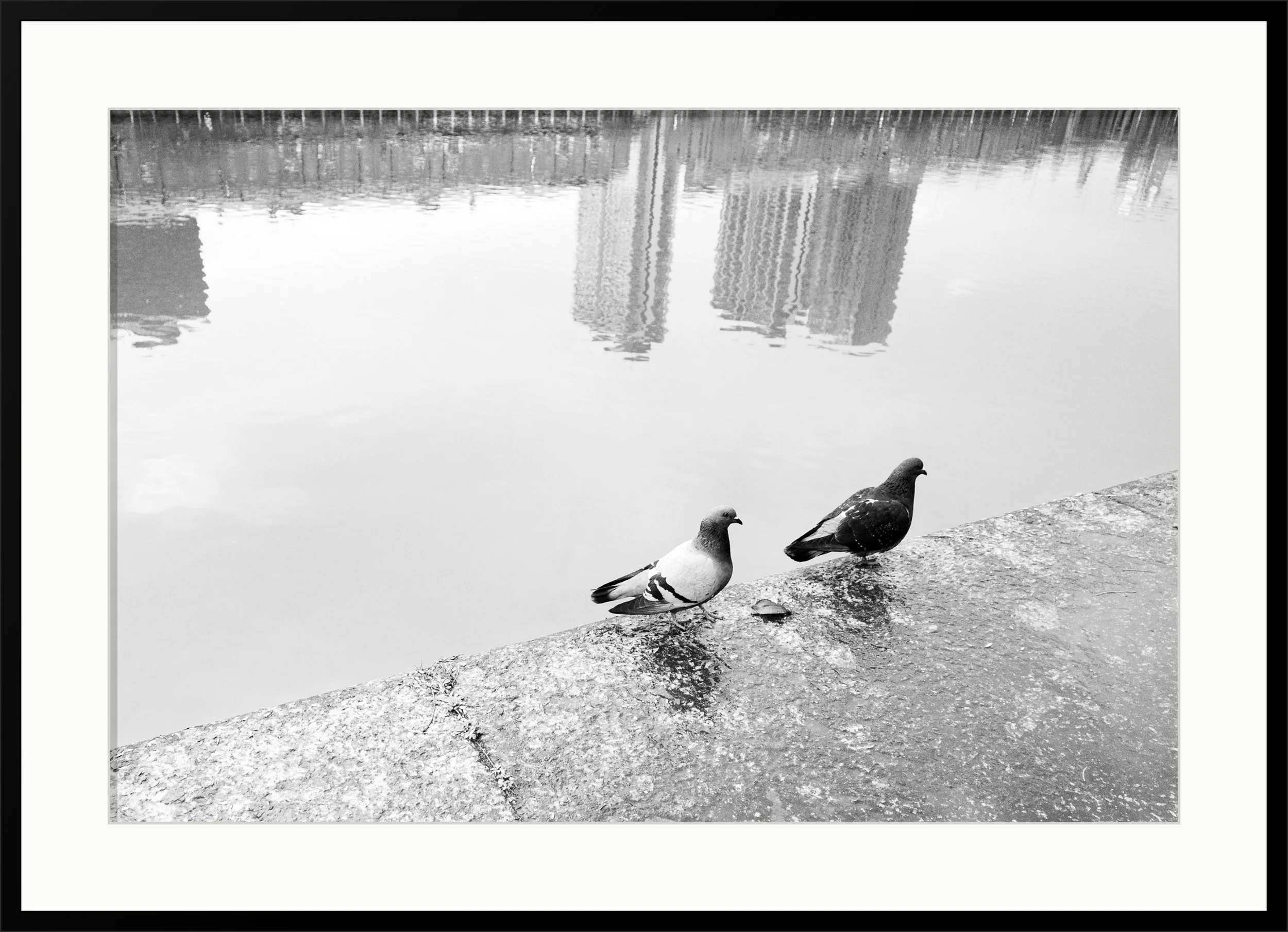 Dock Inspectors
