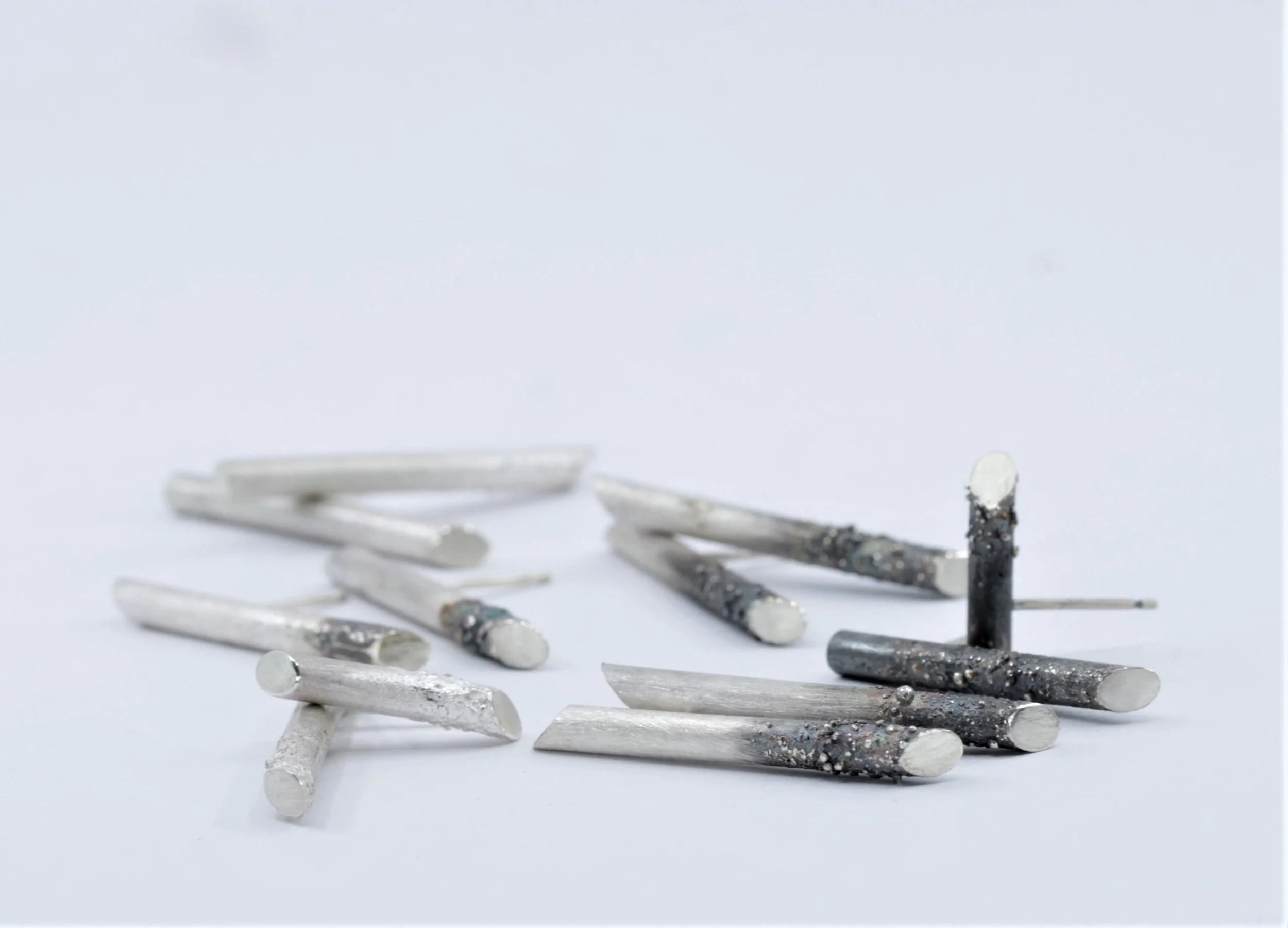 lichen_sticks_studs_nm