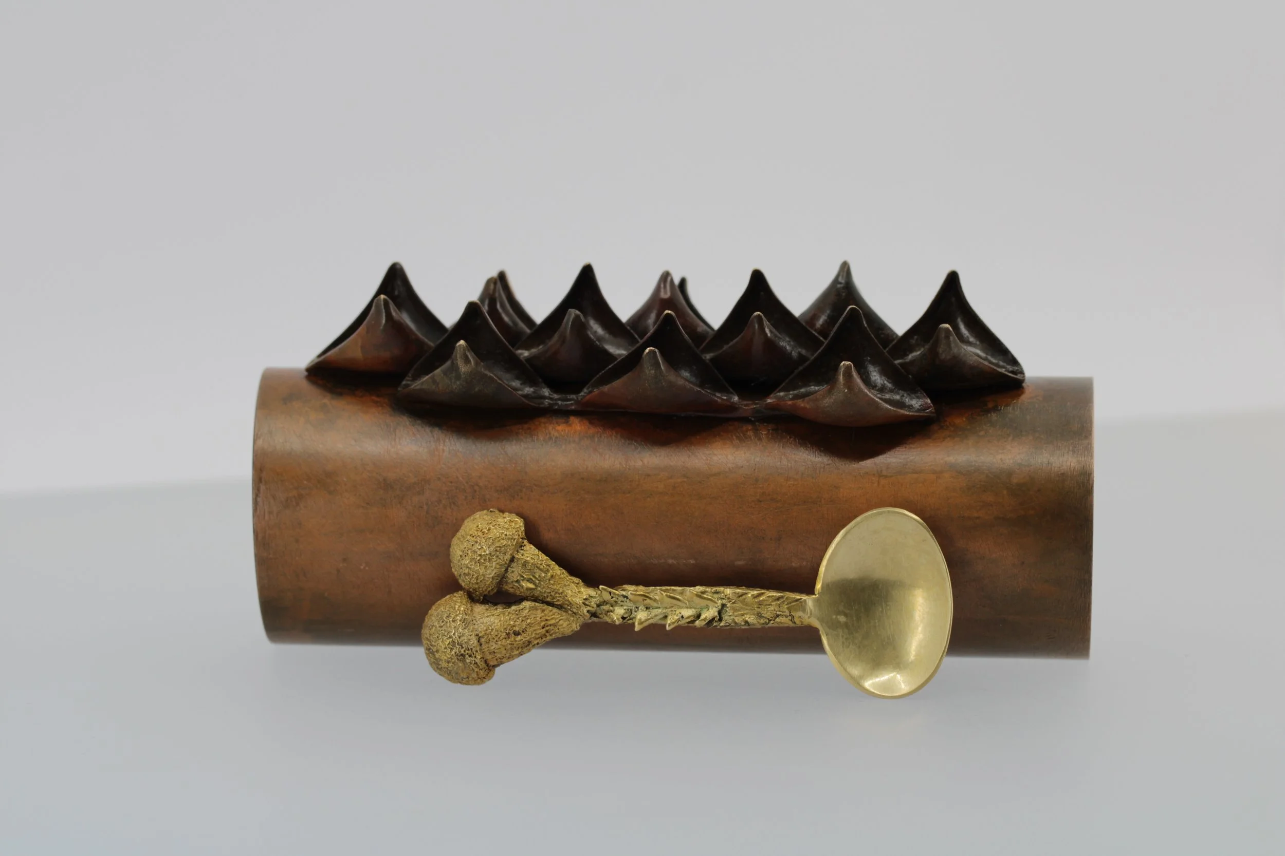 NatasaMilenovic_RegineSchwarzer_SEEDS_2024_vase_spoons_ - Copy.JPG