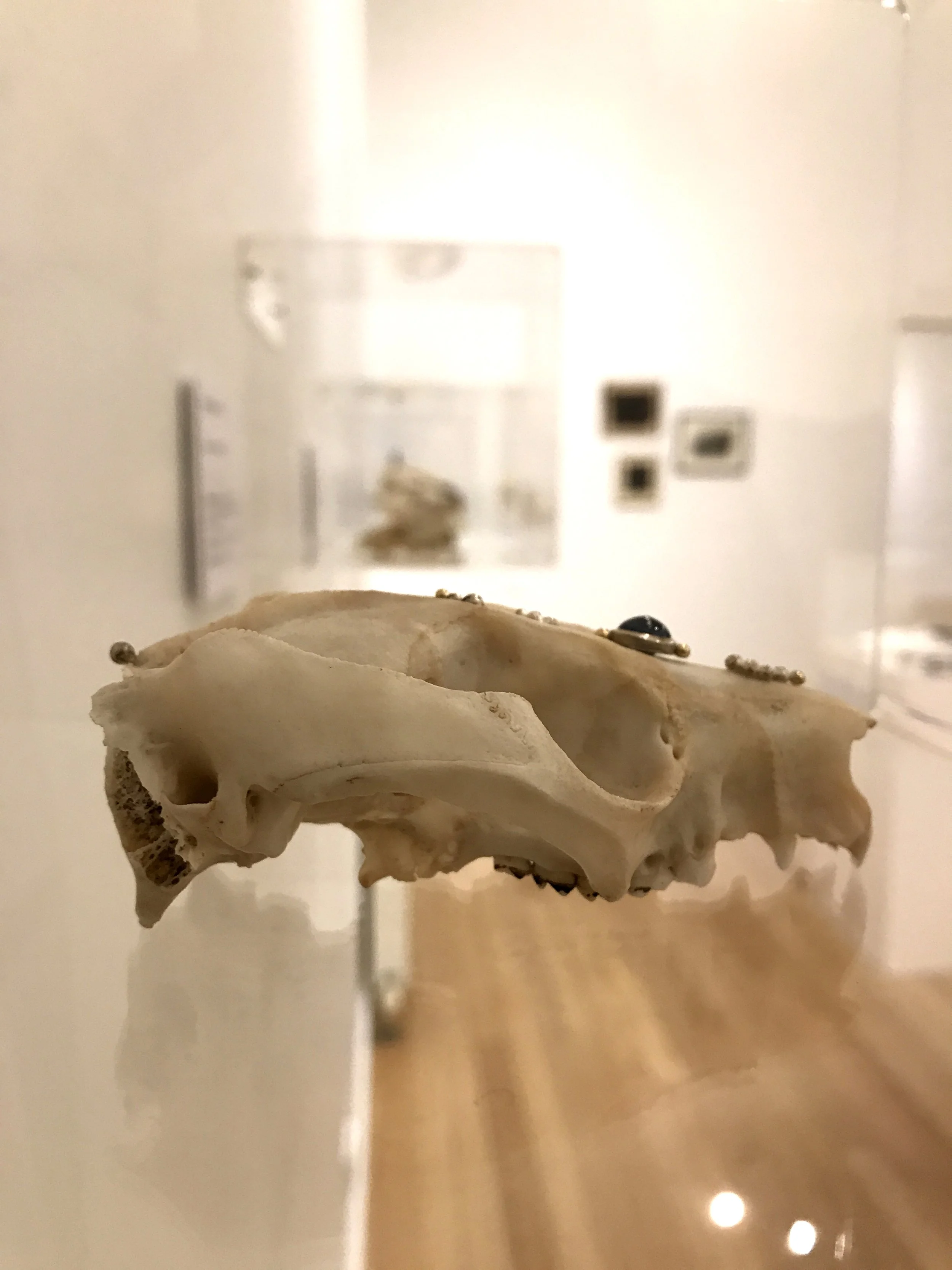 2017-09-29 23.39.51_2.jpg