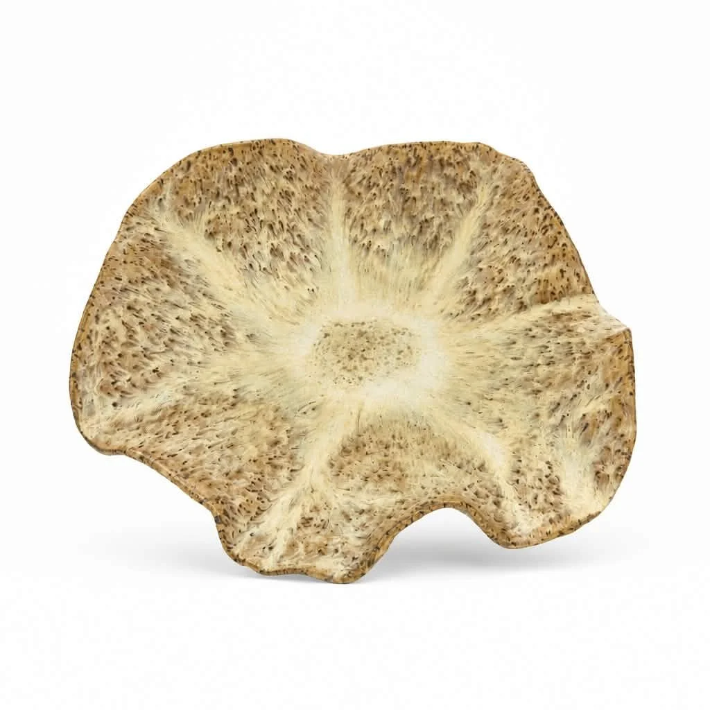 Large Petal Bowl