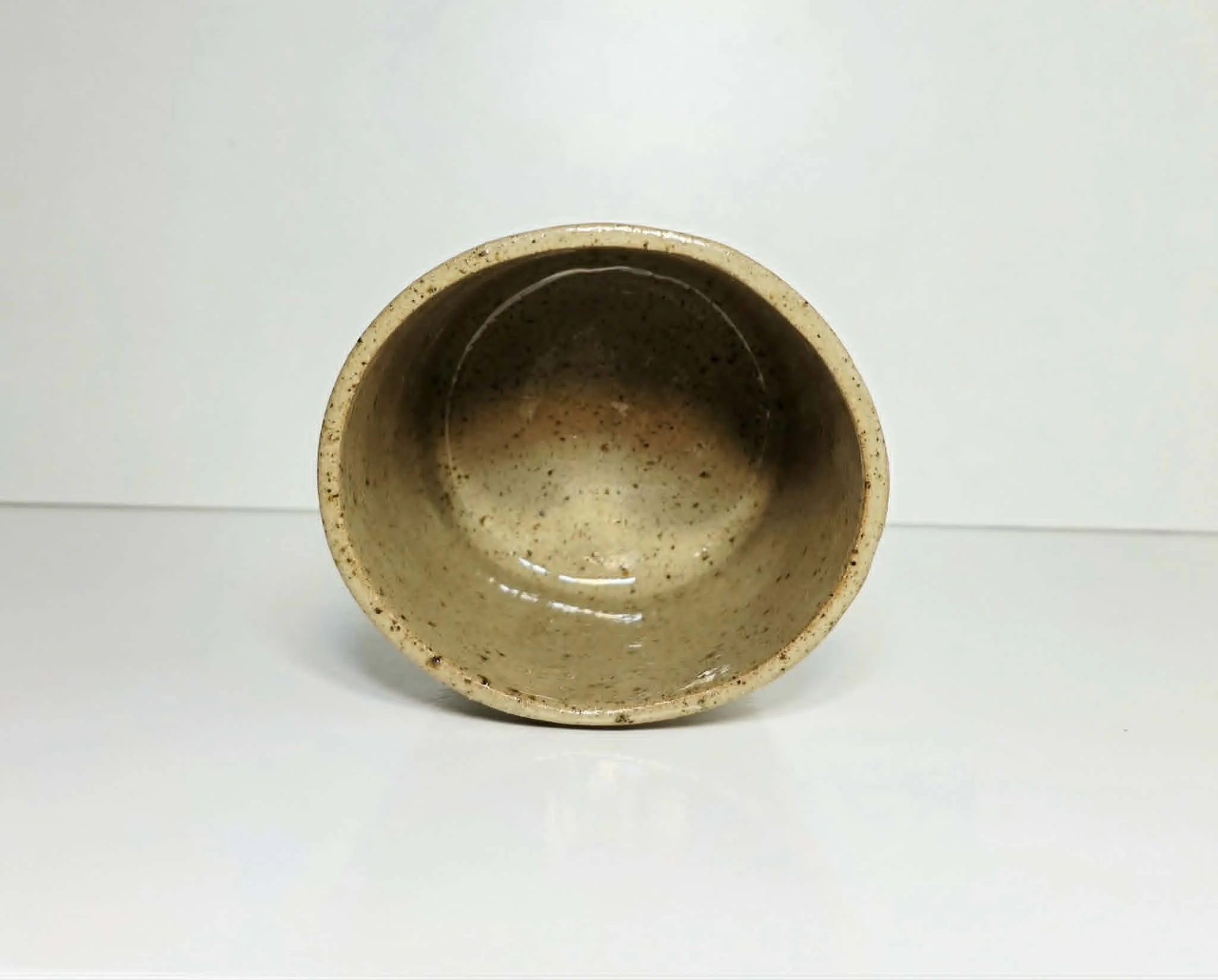 Palm Tumbler large inner.jpeg